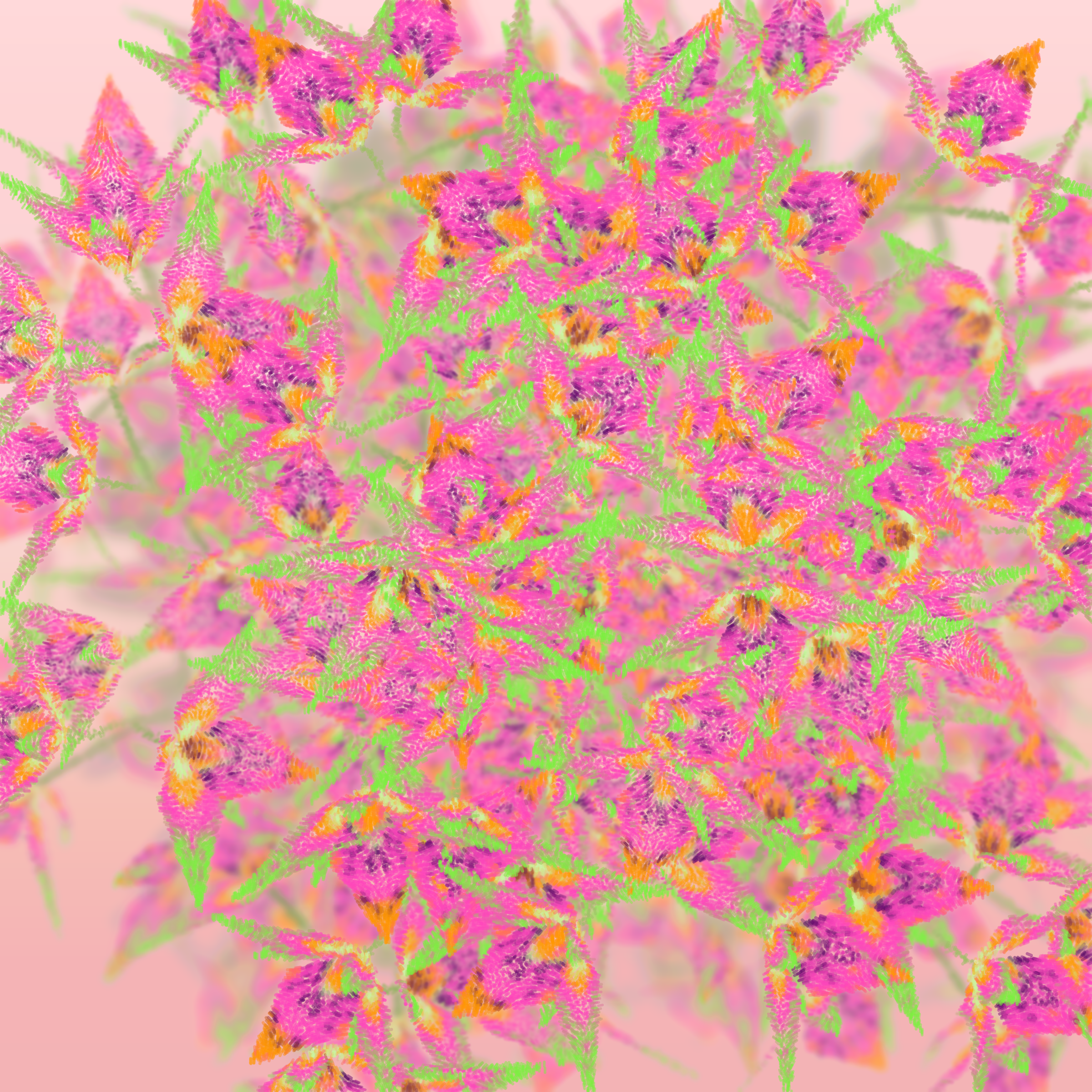 Cattleya #141