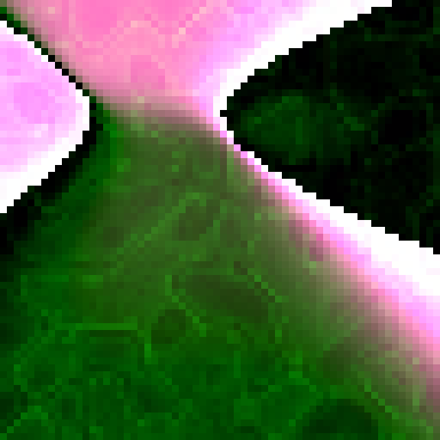 Relic 0xD1DFD4
