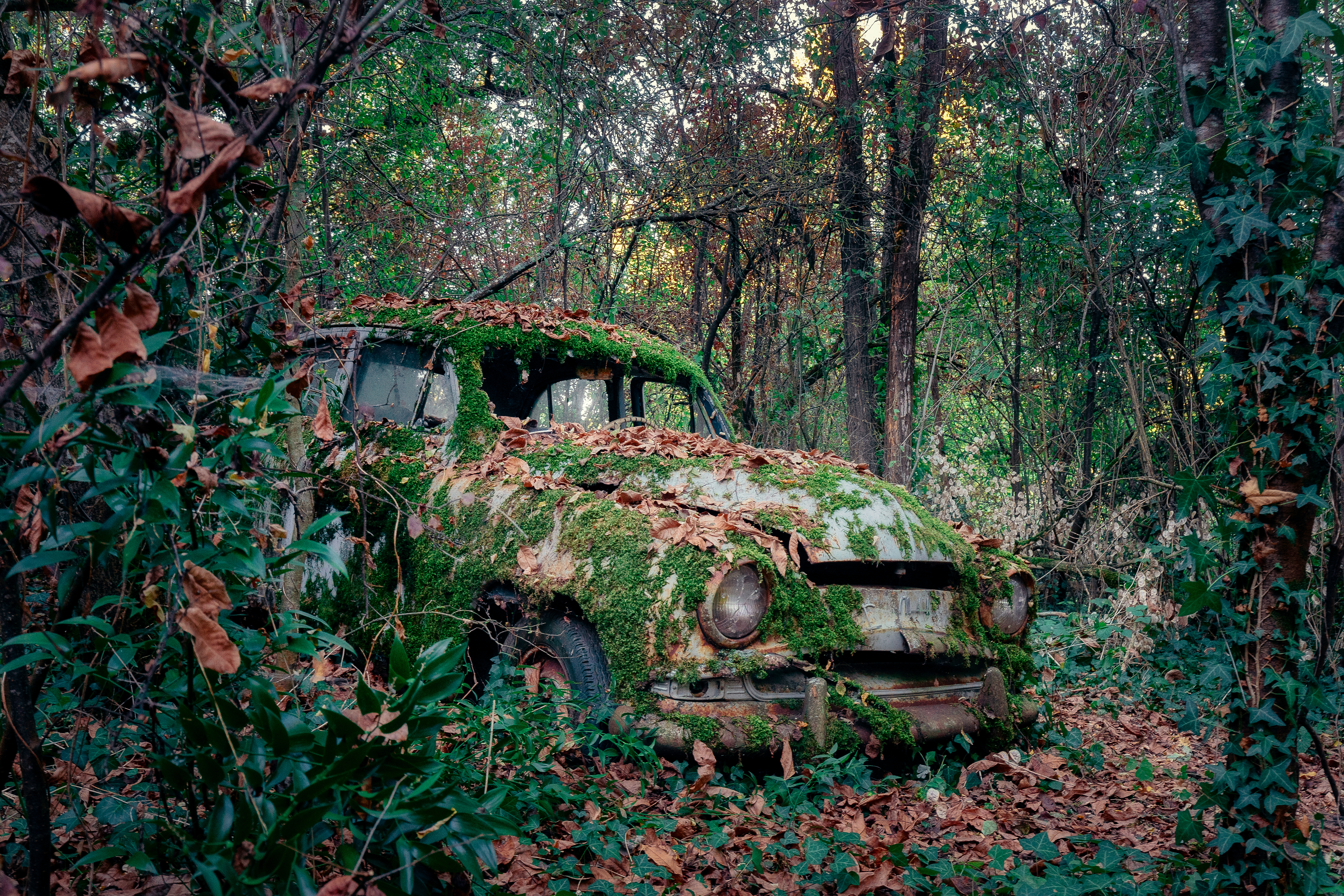 SIMCA VERT