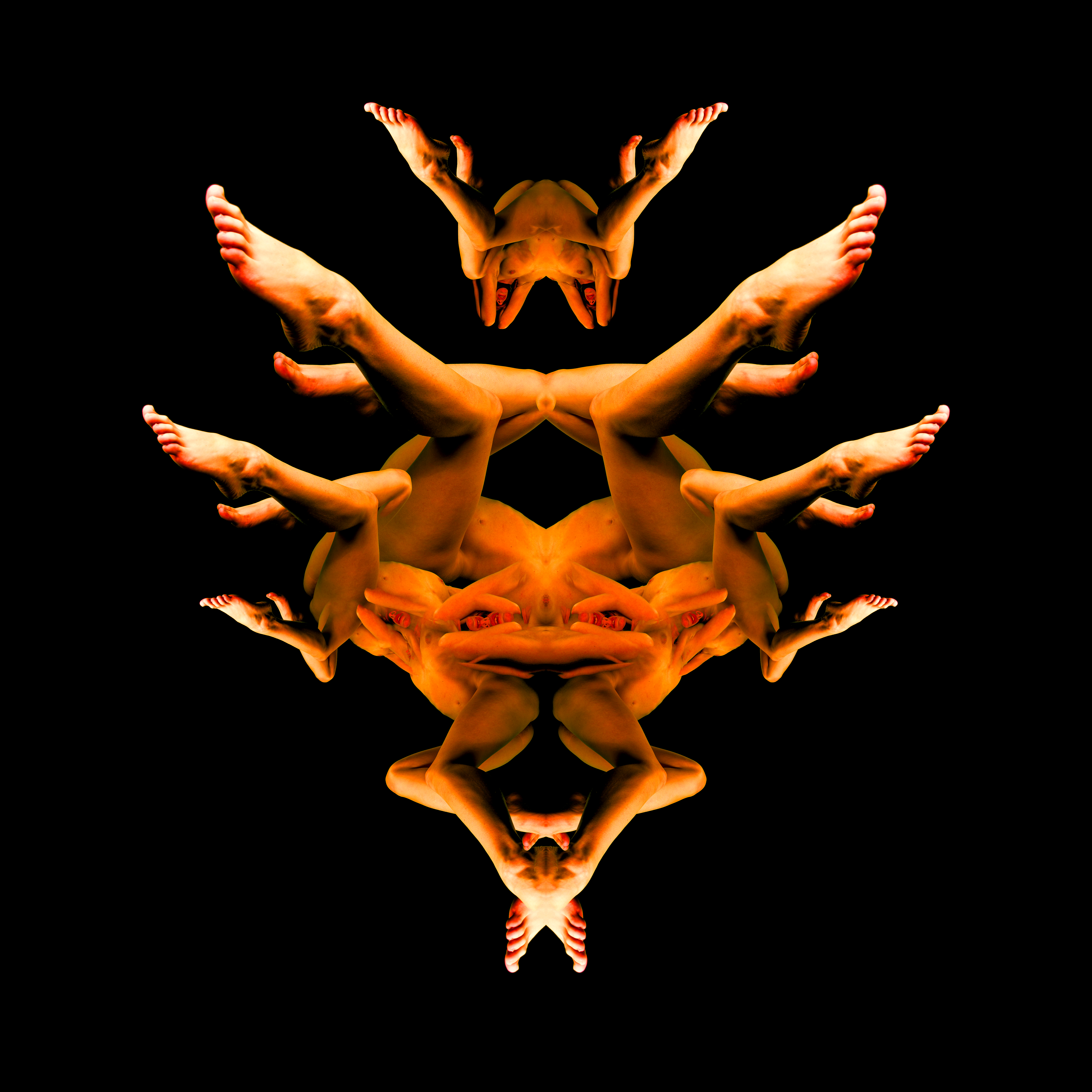 Тot the symmetry of the human body