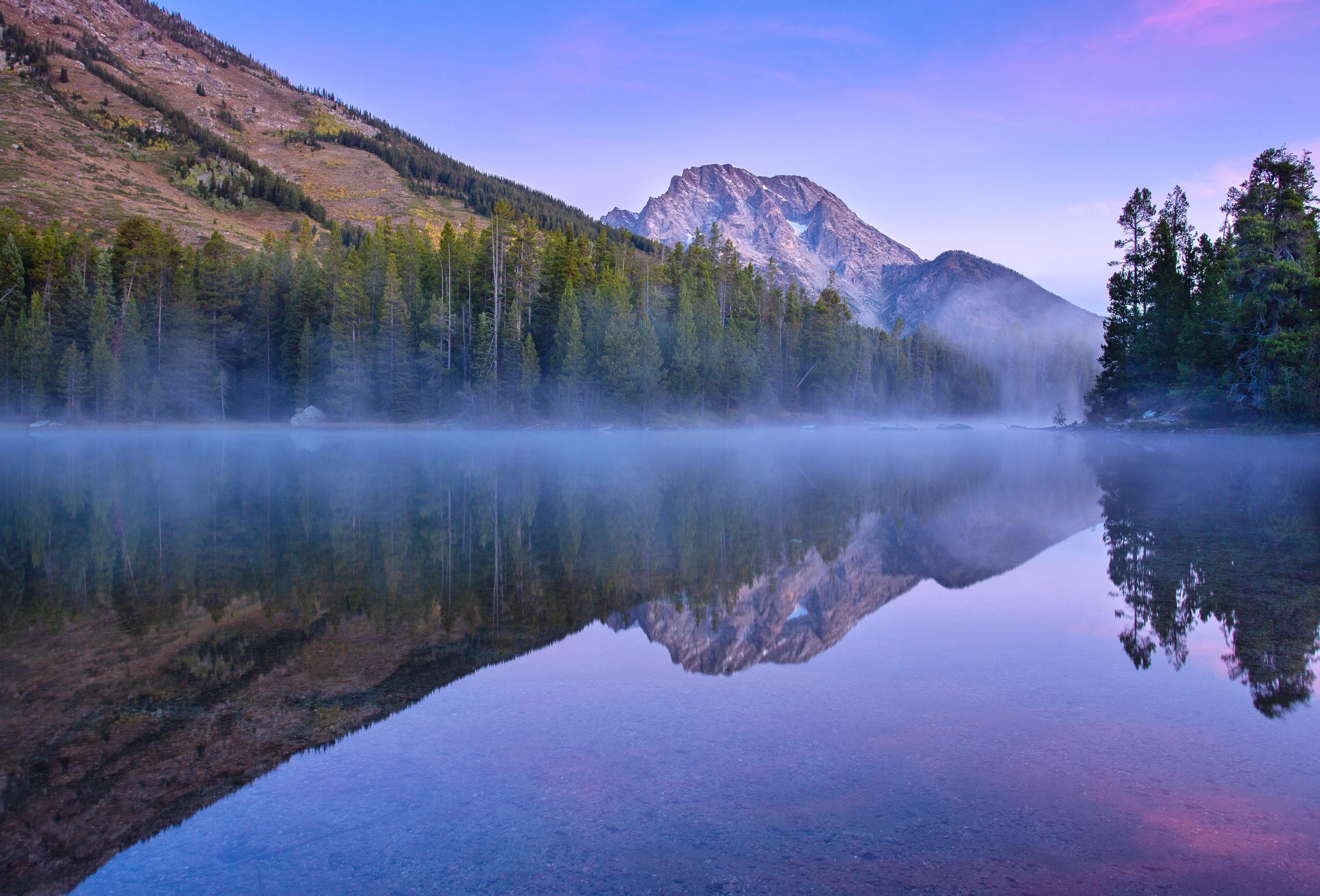 Moran Reflections 