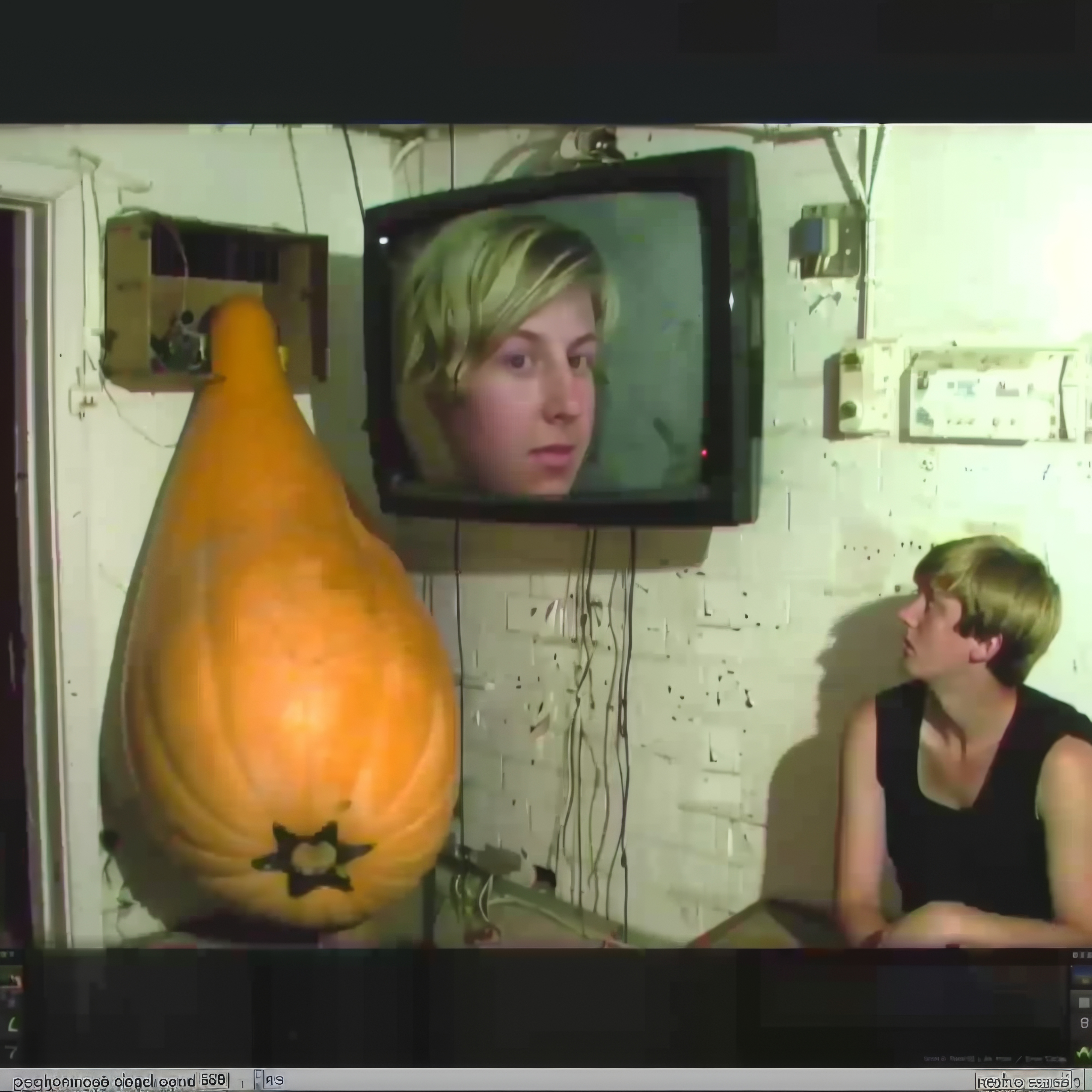 Gourd-Videophony