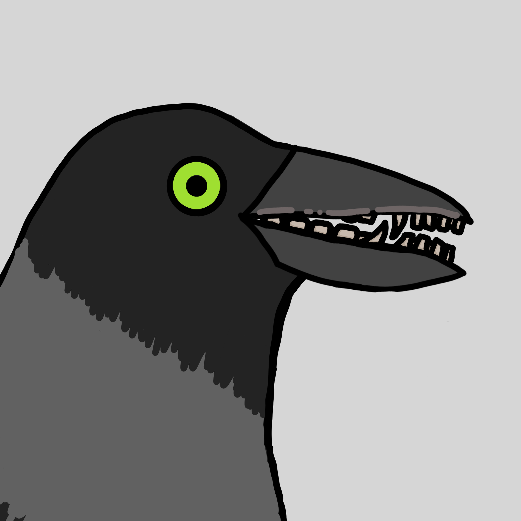 Crow Friends #521