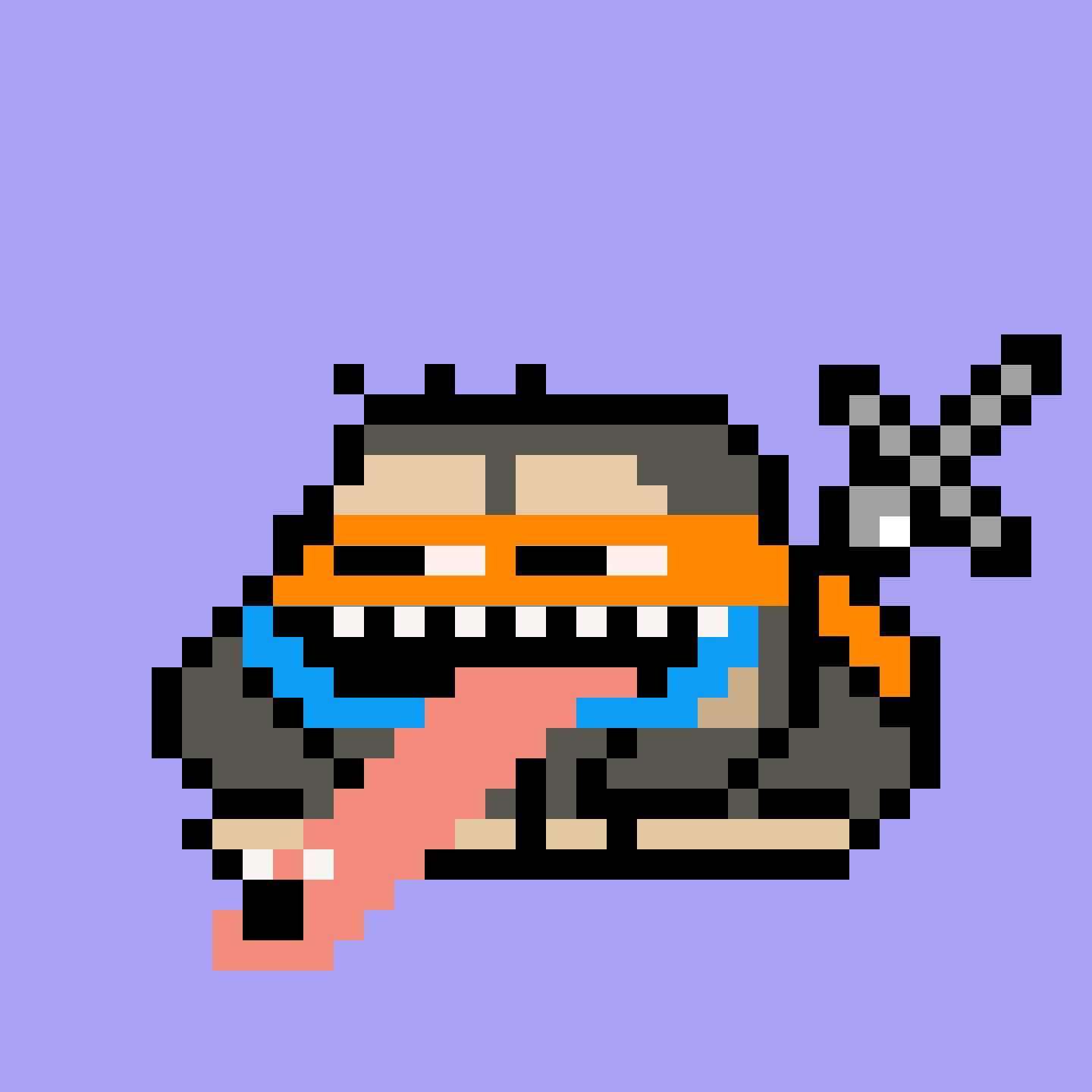 NinjaToadz #6681
