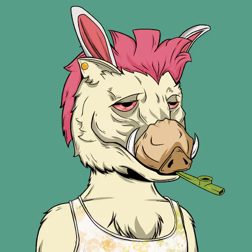 BOAR CLUB #774