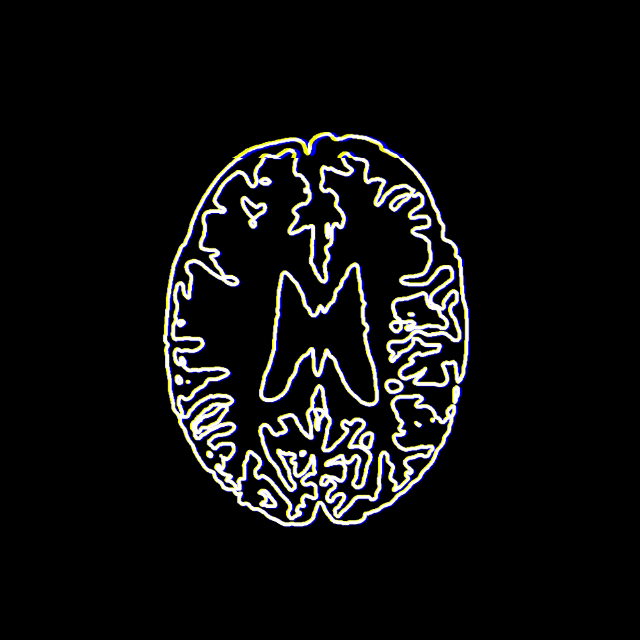 CRYPTO BRAIN #001