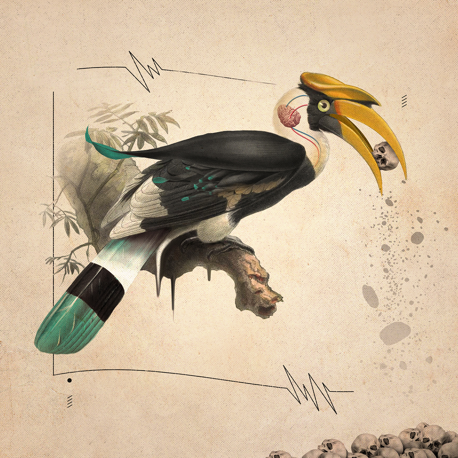 Brain Buster Bird Monster