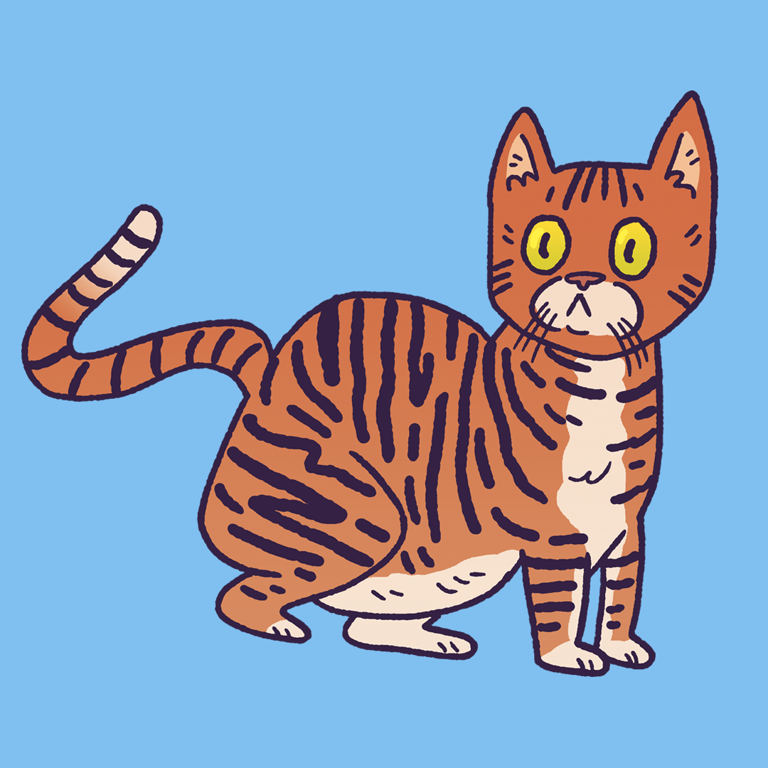 Toyger #1971
