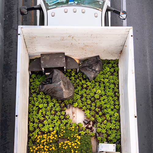 Urban Transportation Plants