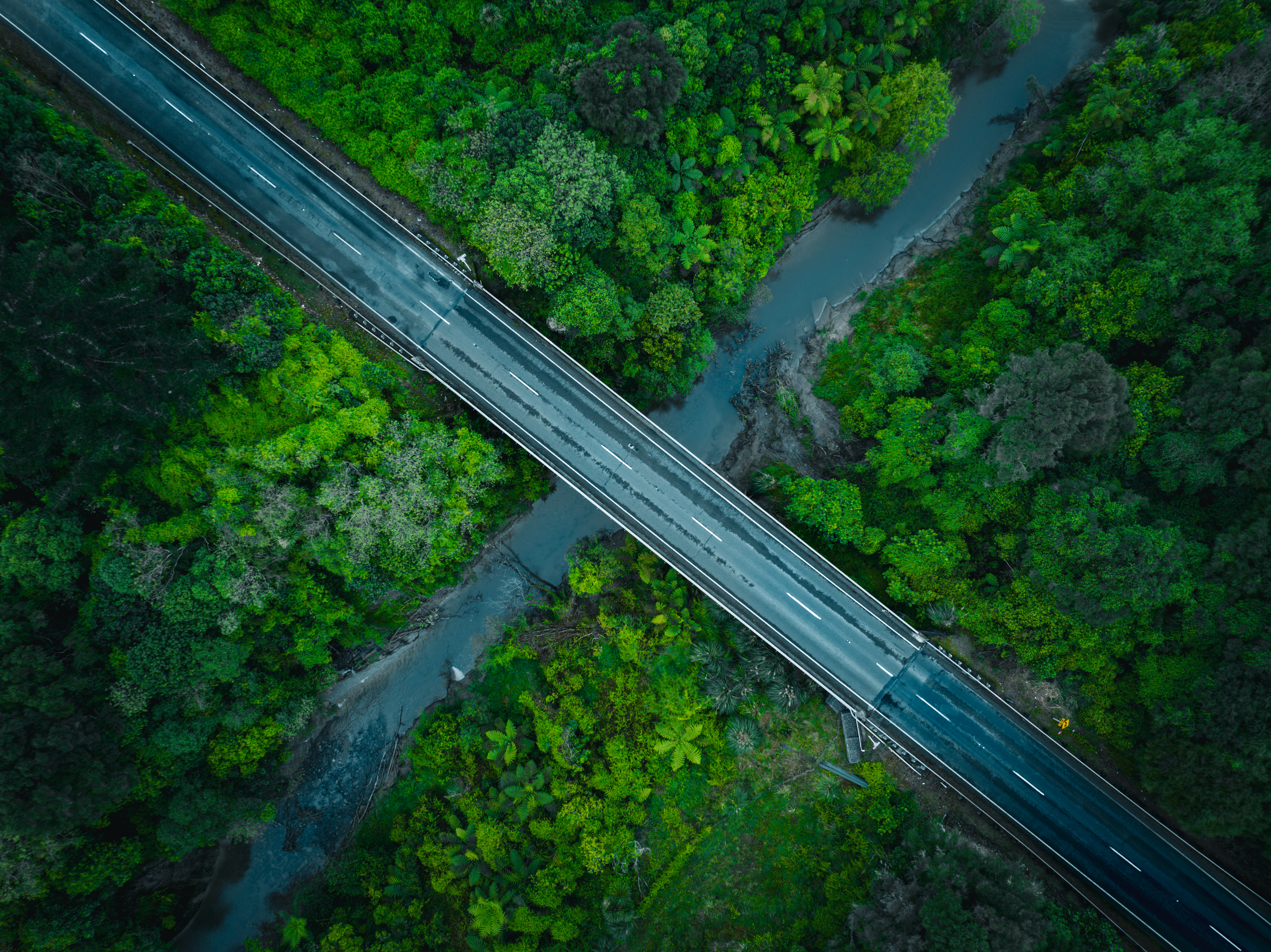 The Shortcut