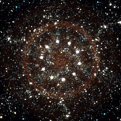 Cosmic Bloom #898