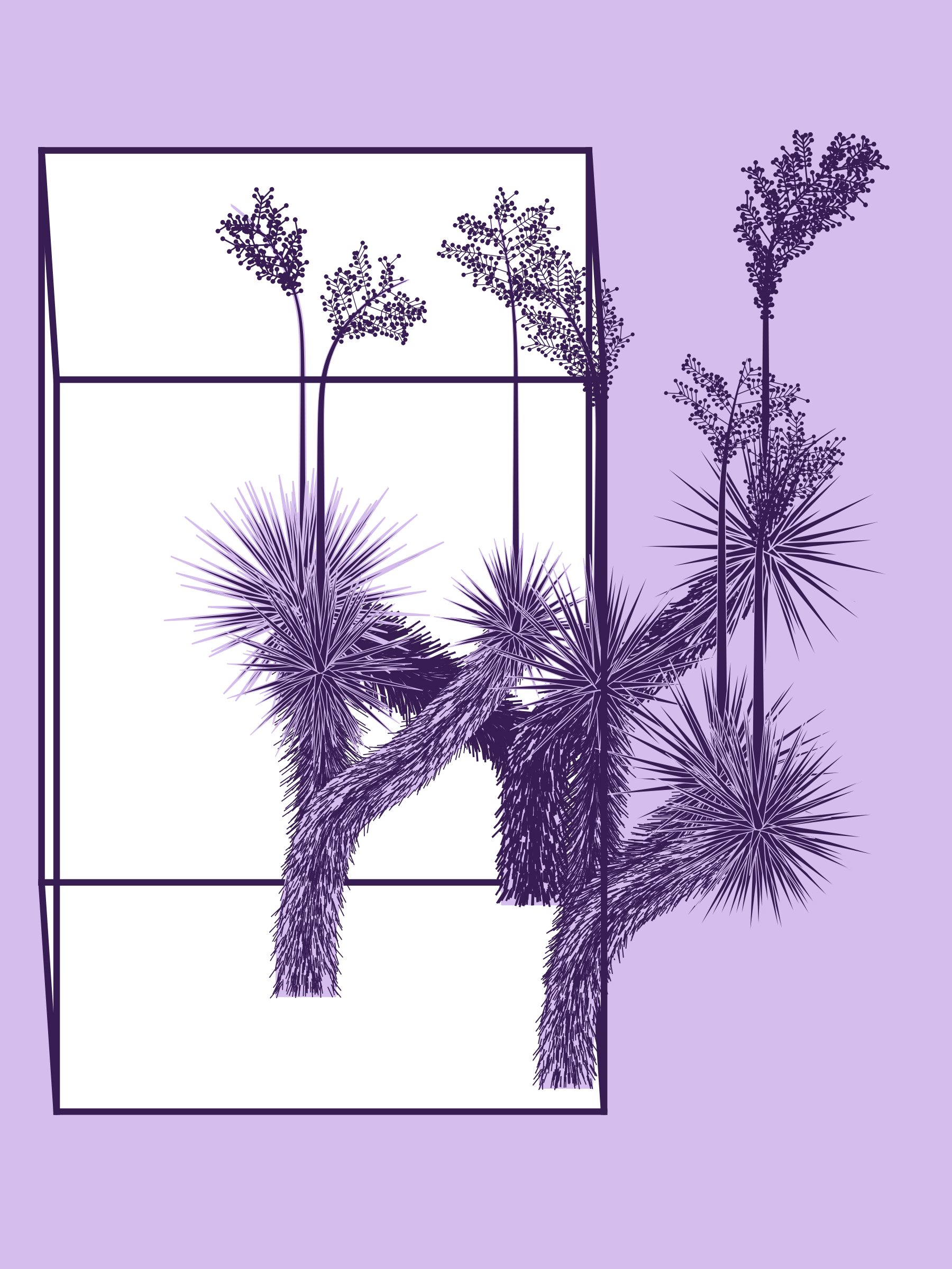 Marfa Yucca #297