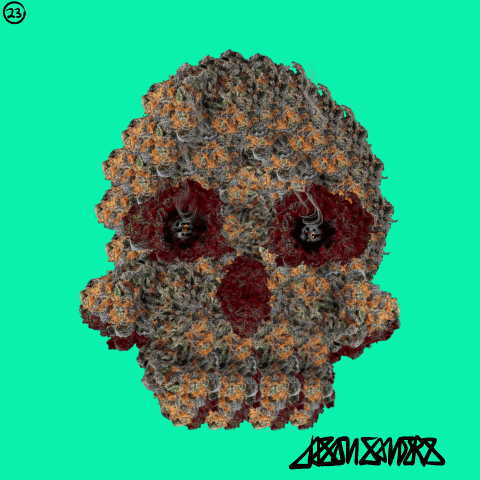 DrainedEye Skull #23: '4-20-22 Seafoam'