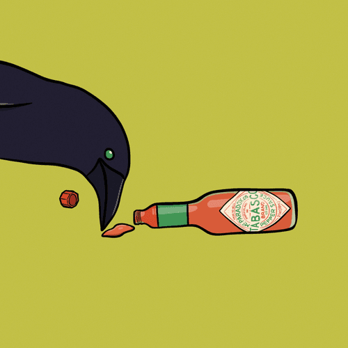 Raven #03 - Tabasco