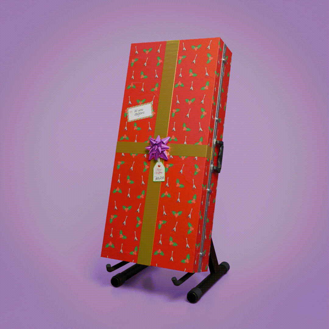 Guitar Gift Case