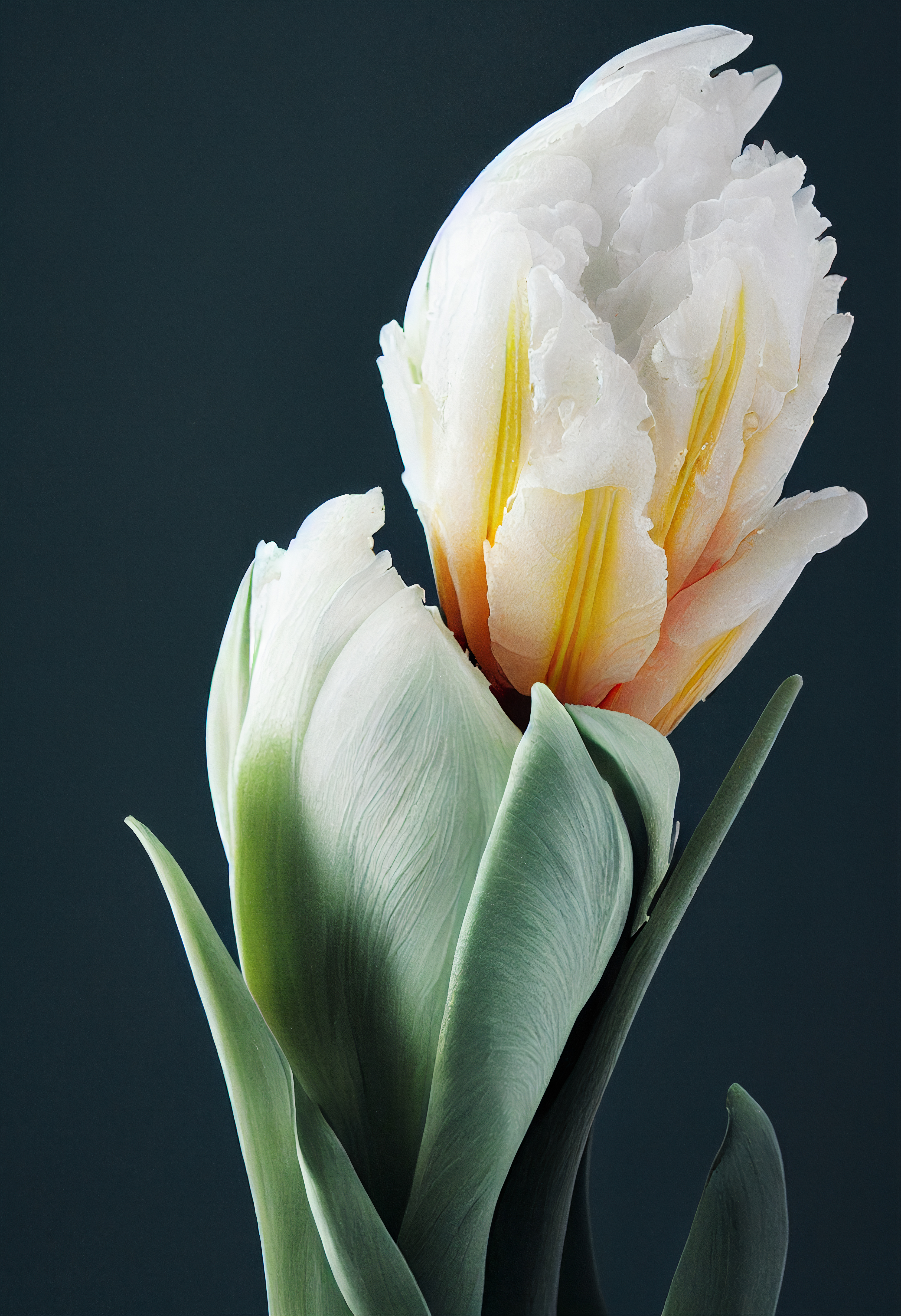A Flower, Just For You. #58