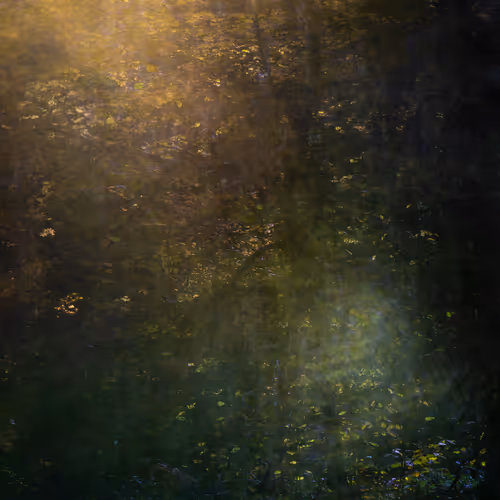 Will o' the Wisp