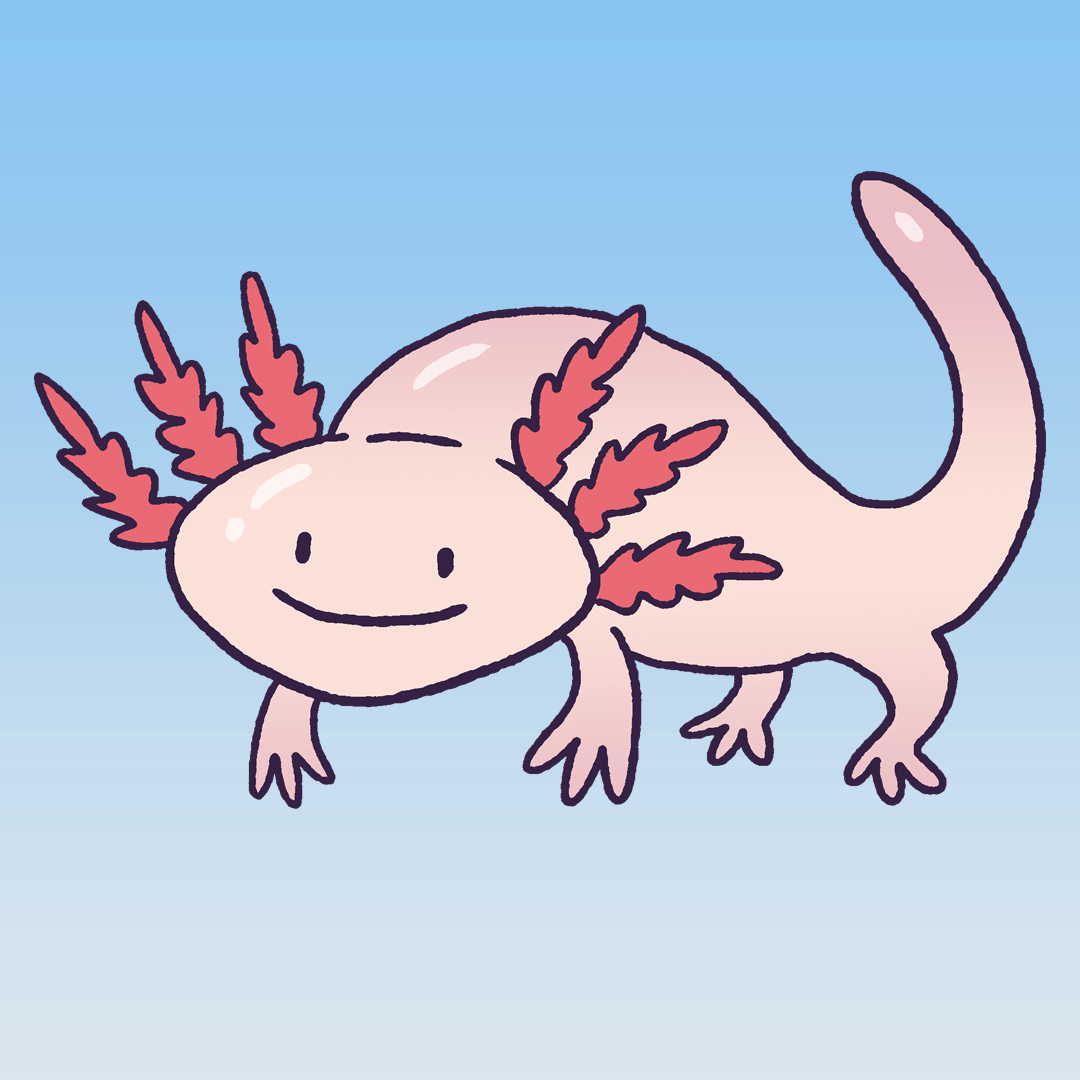 Axolotl #197