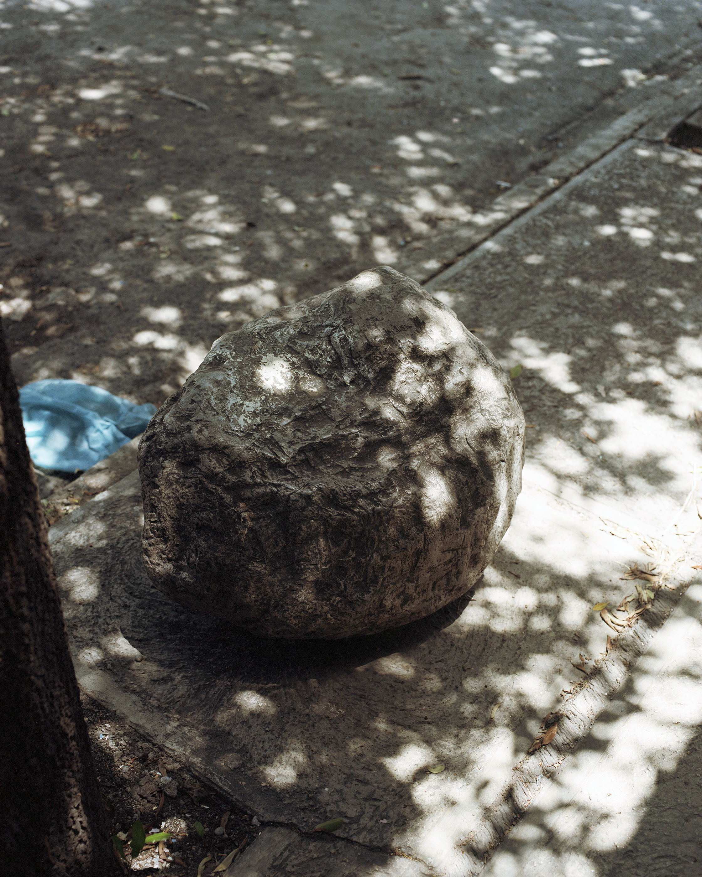 A Rock In The Shadows