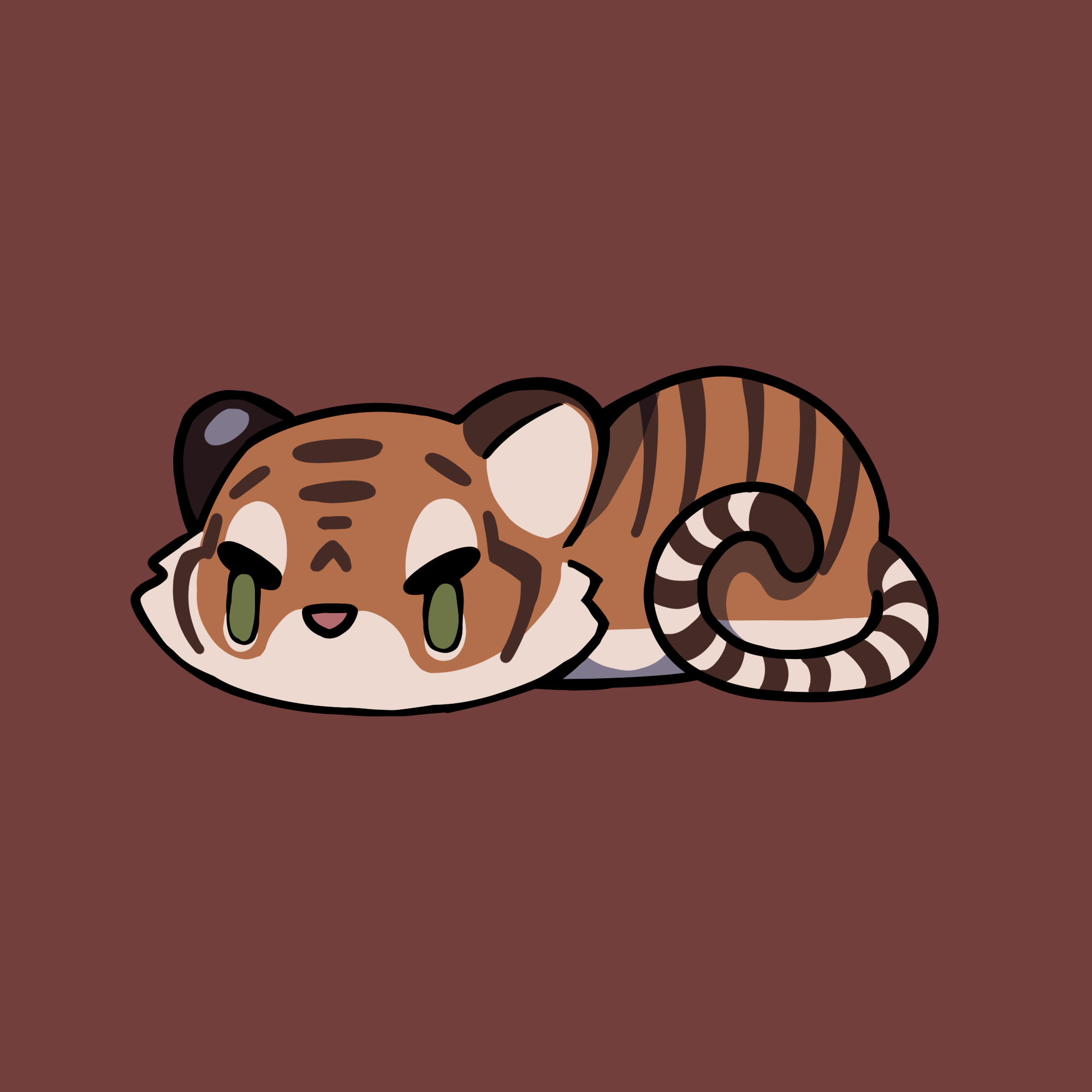 Cat #6