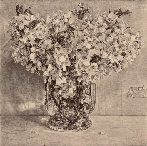 Blossom