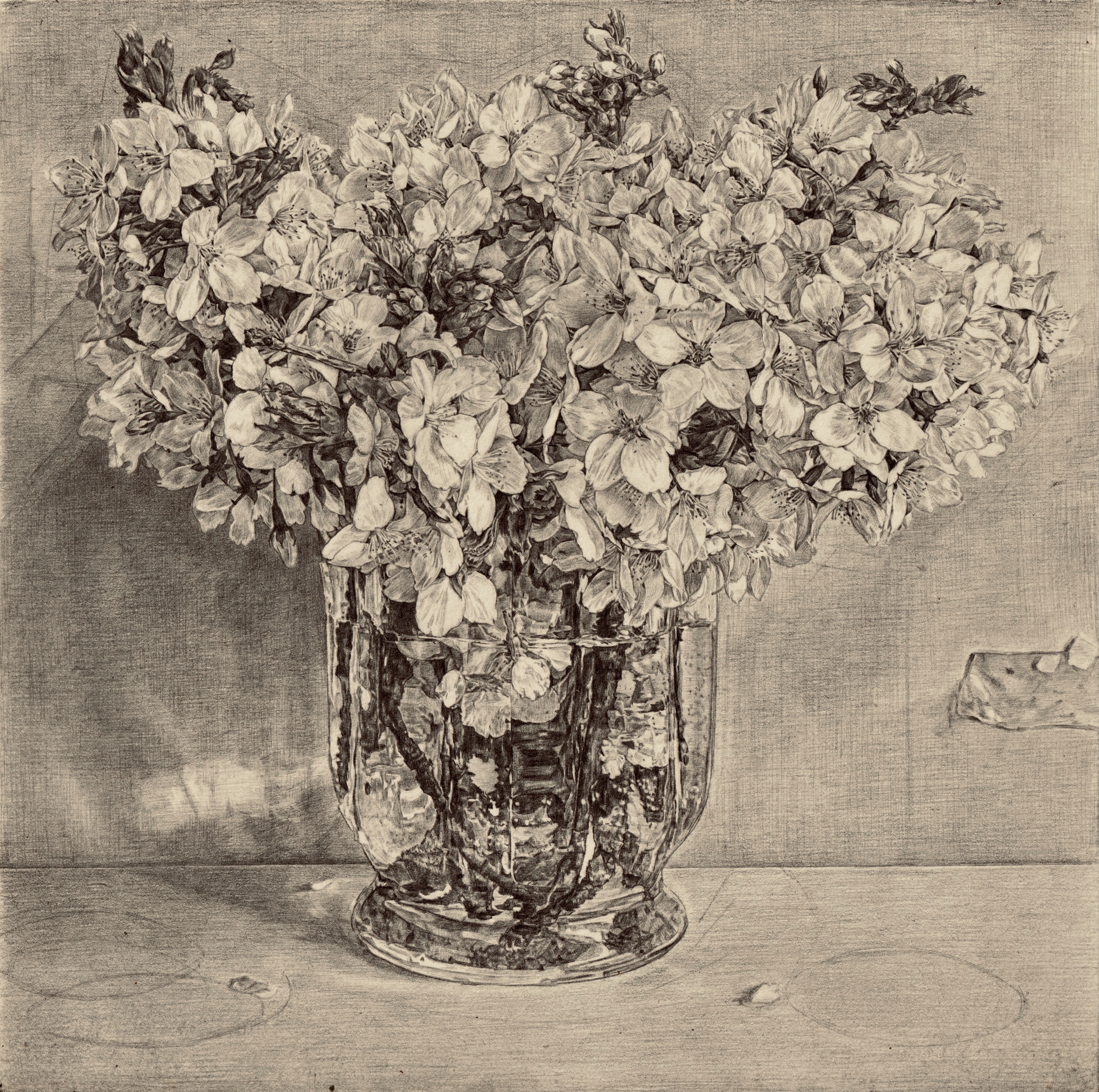 Blossom
