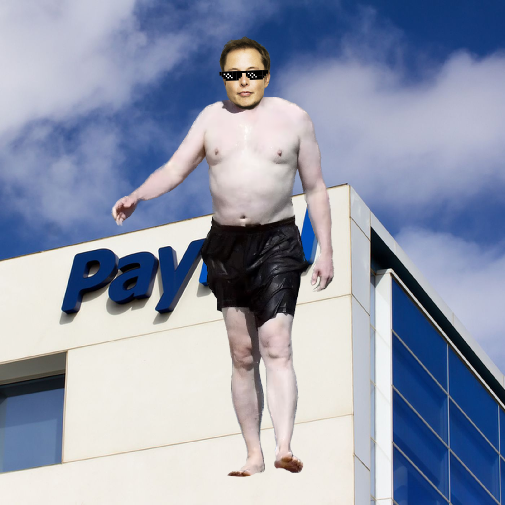 Elon Digital Trading Card #3783