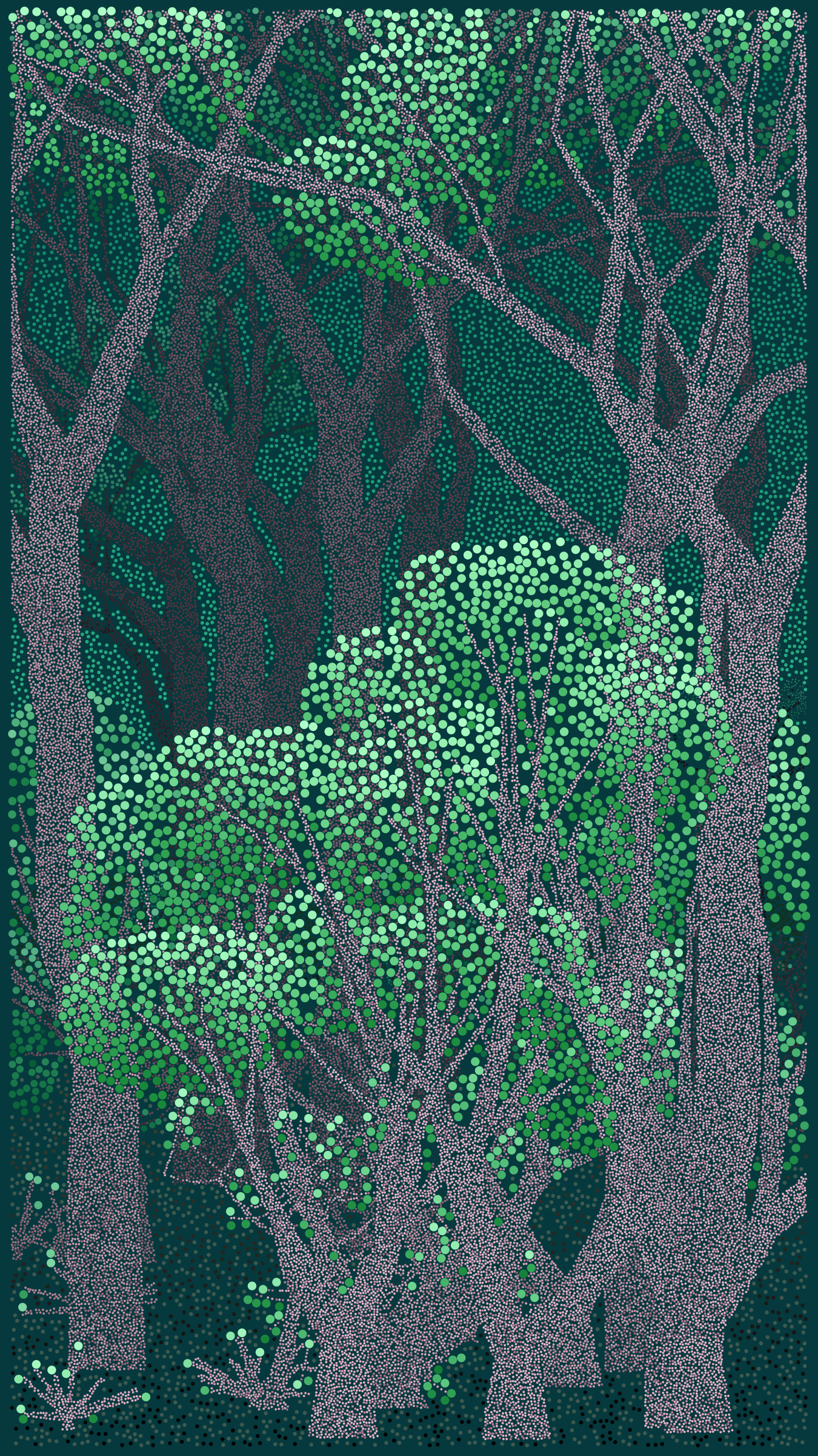 Bosque de Chapultepec #72