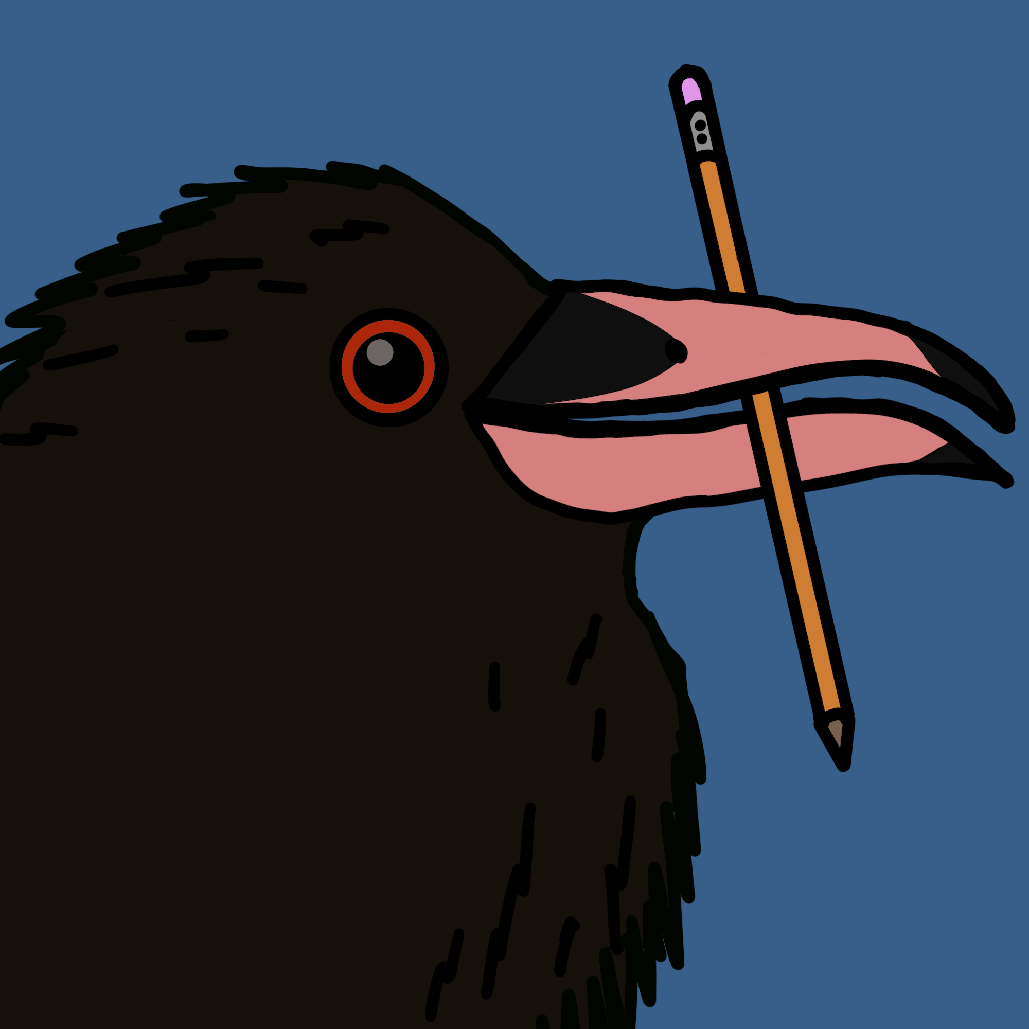 Crow Friends #151