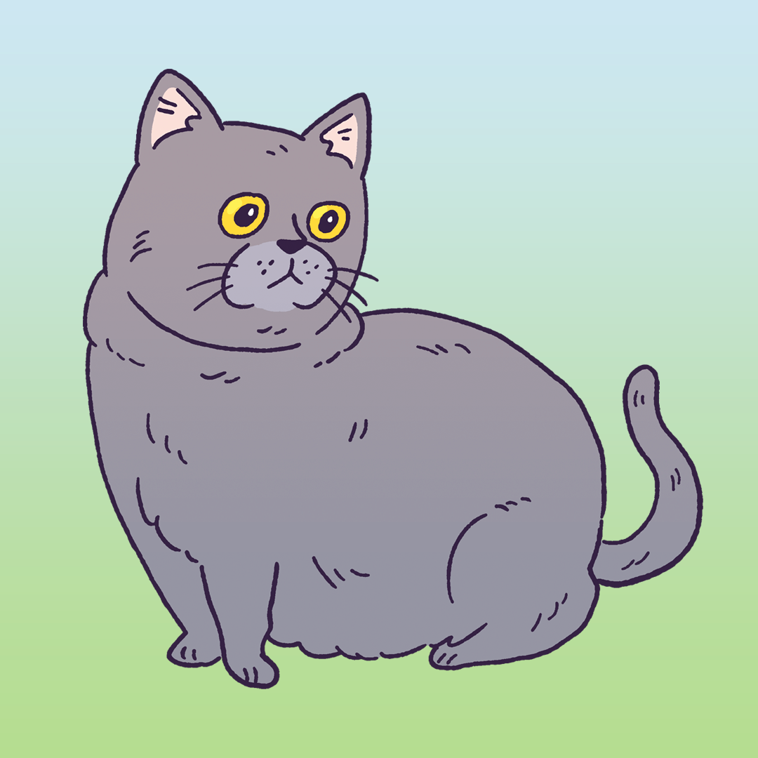 Cat Of A Guy I Met At A Party #1809