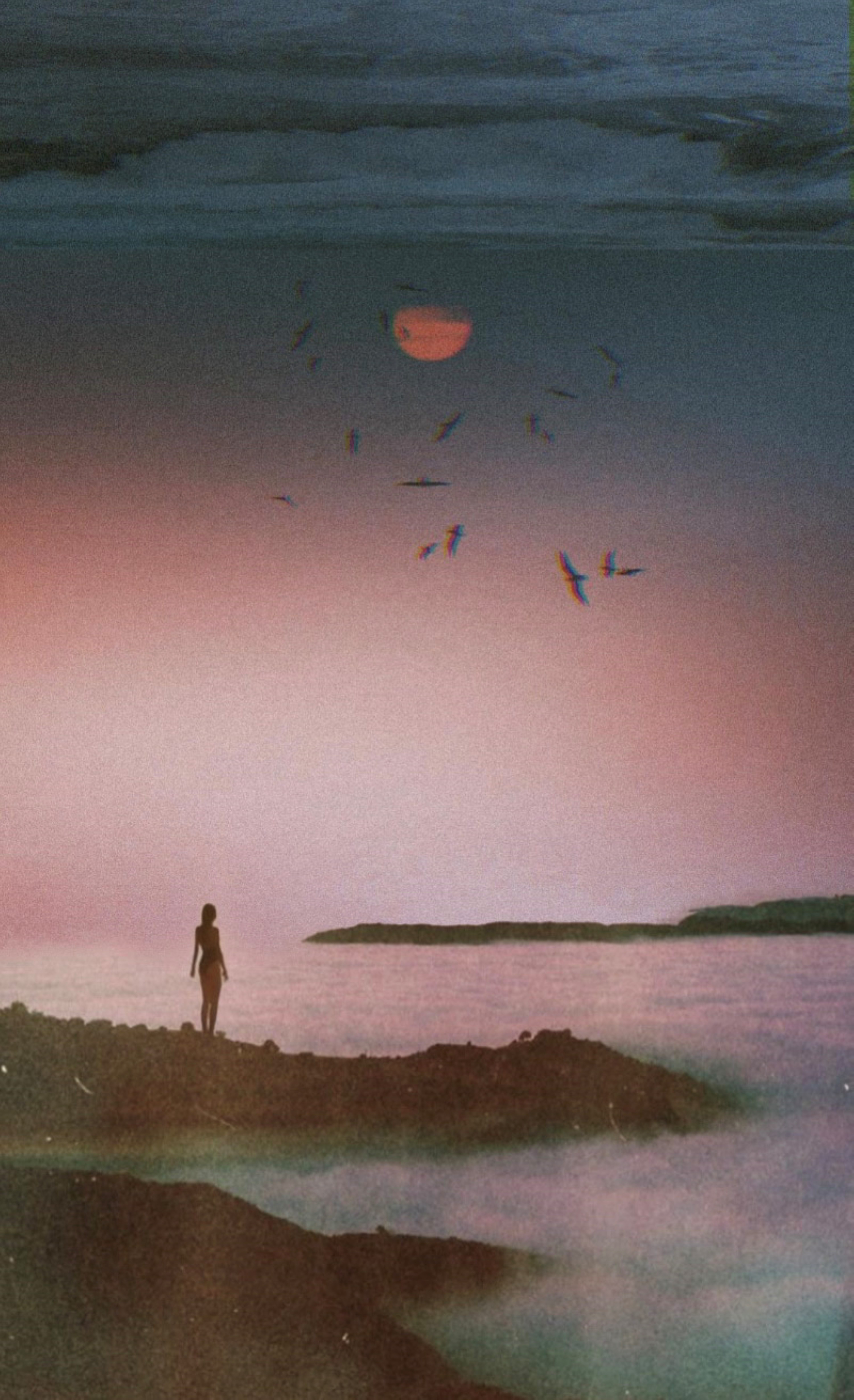 We were never really here 