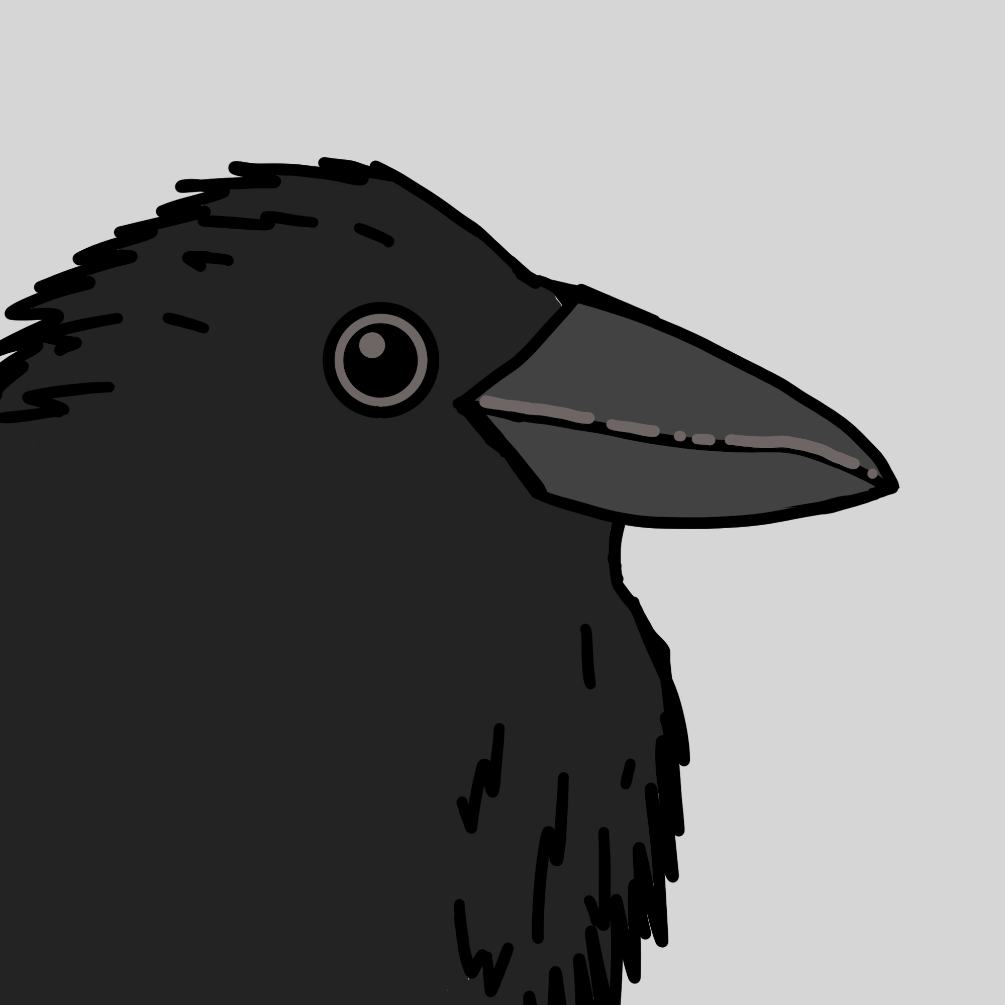 Crow Friends #635