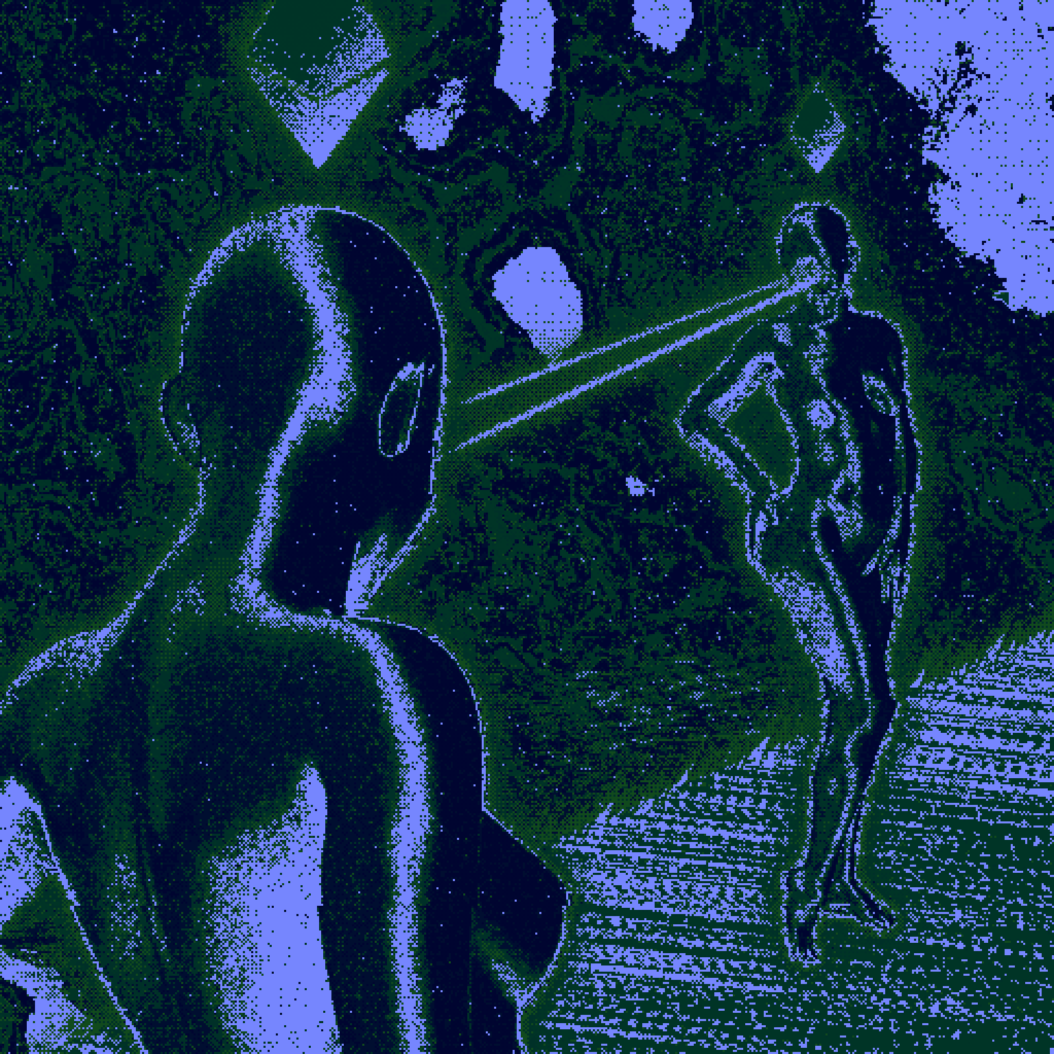 ♡STARGAZ1NG-1N-THE-F0REST-UNDER-THE-M00NL1GHT♡