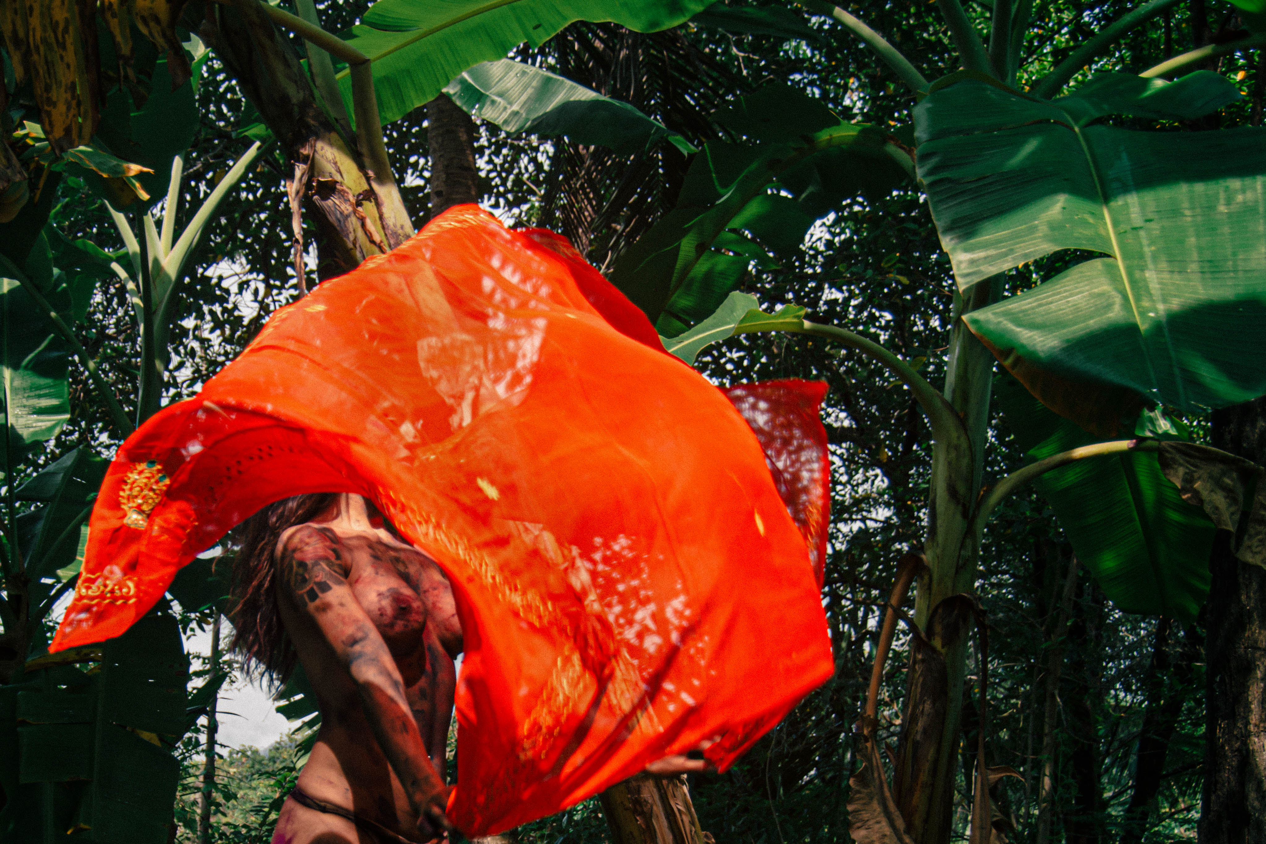 Jungle Queen #5