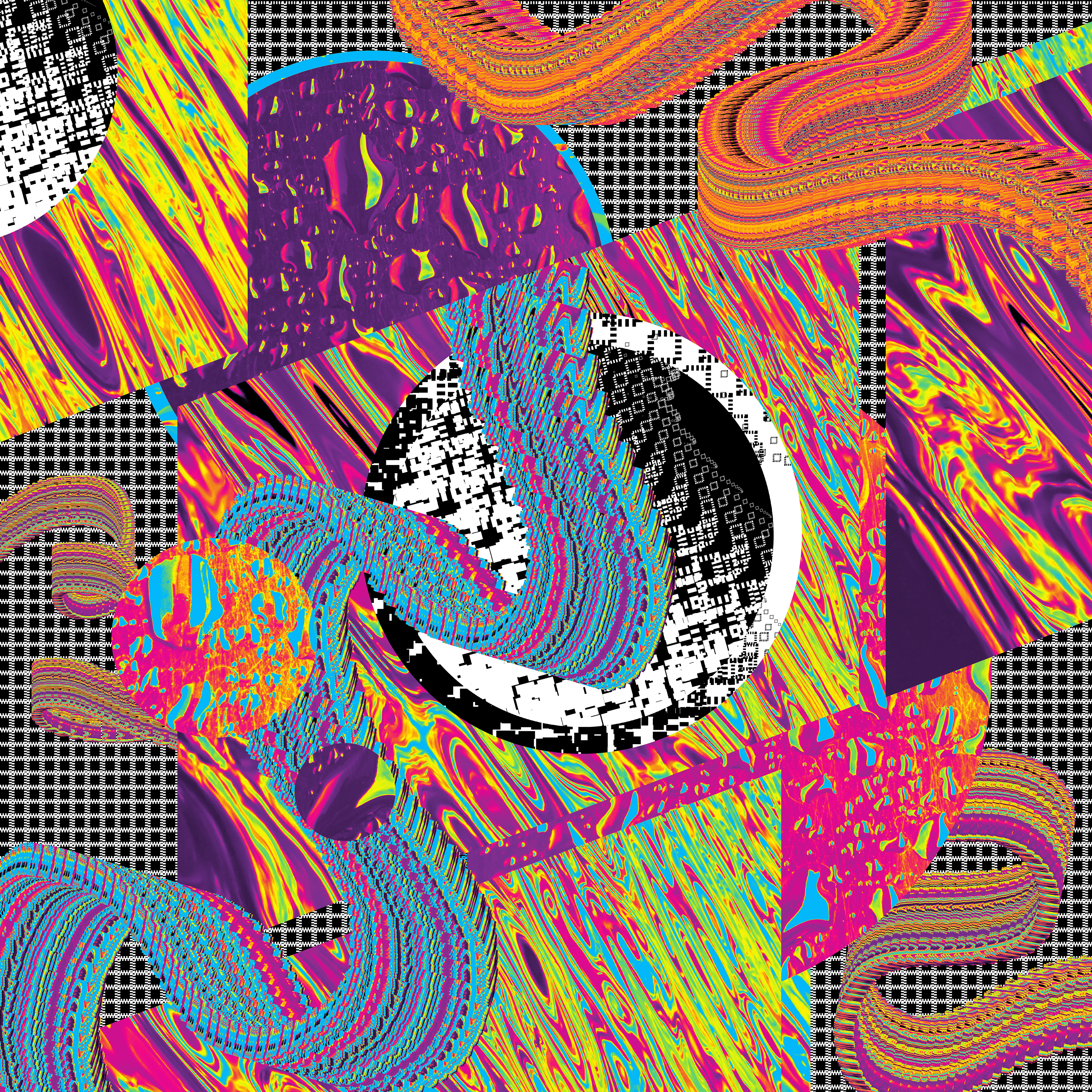the_fifth_lesson_lisa_frank_prime_taught_me