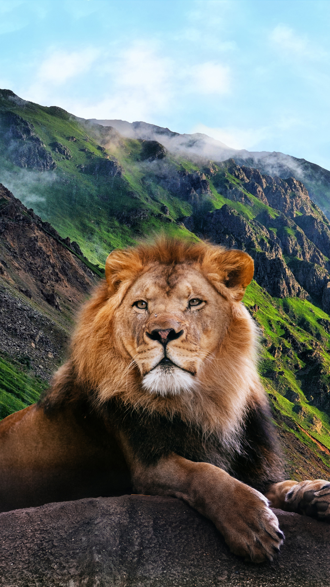 Lion