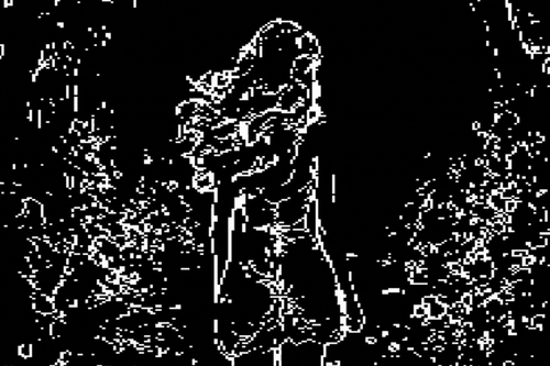 Silent Glimpse