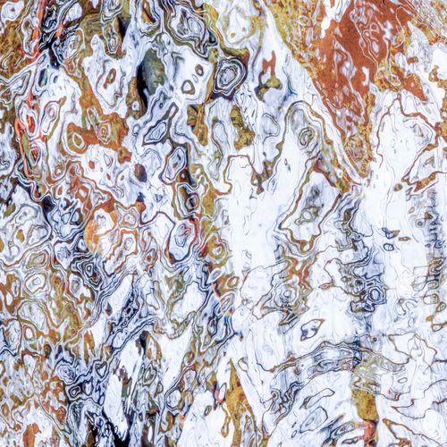 Life in Abstract
