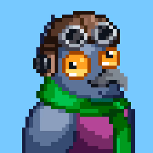 Noonbirds #1551