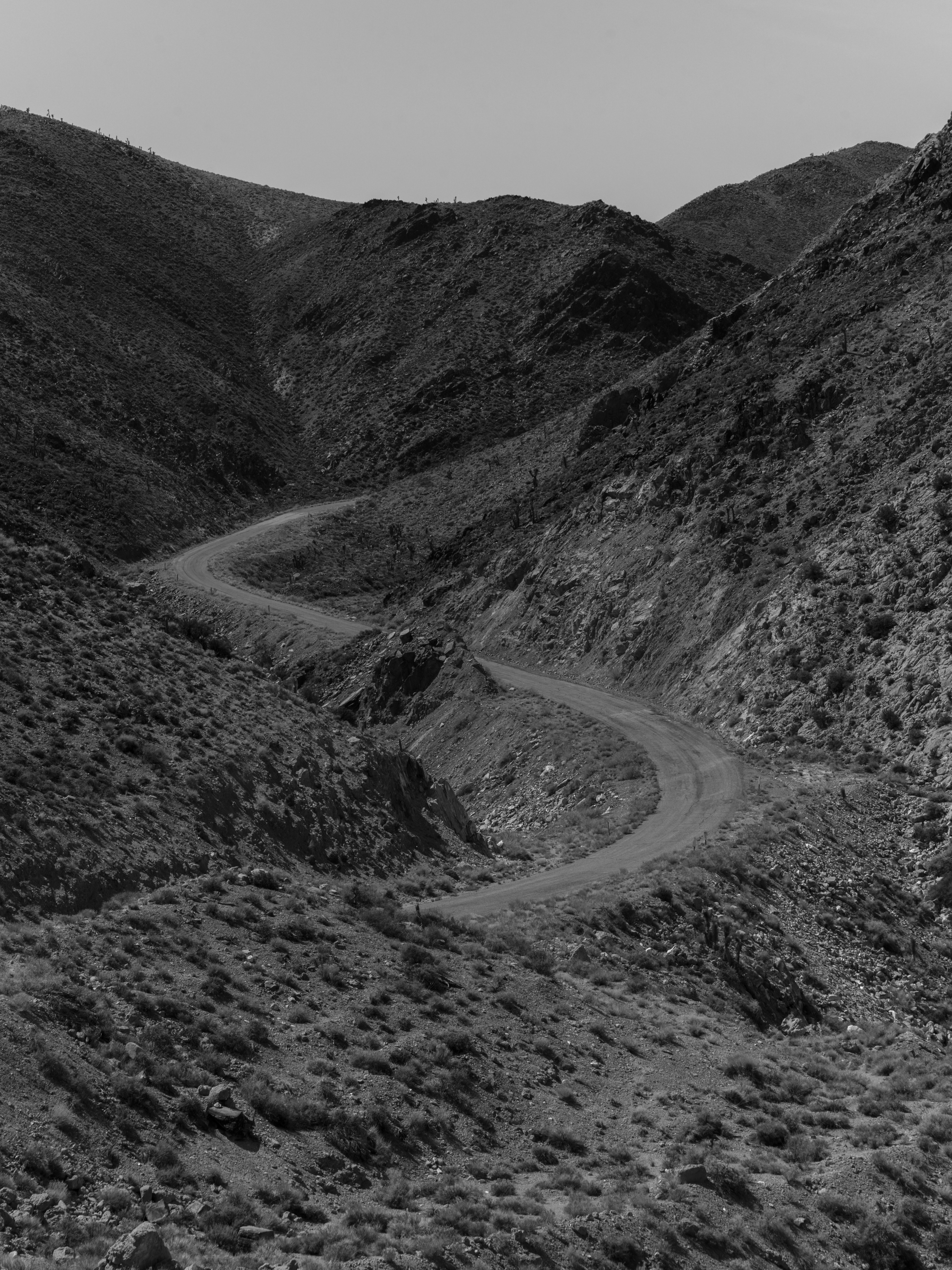 Dead Roads #6