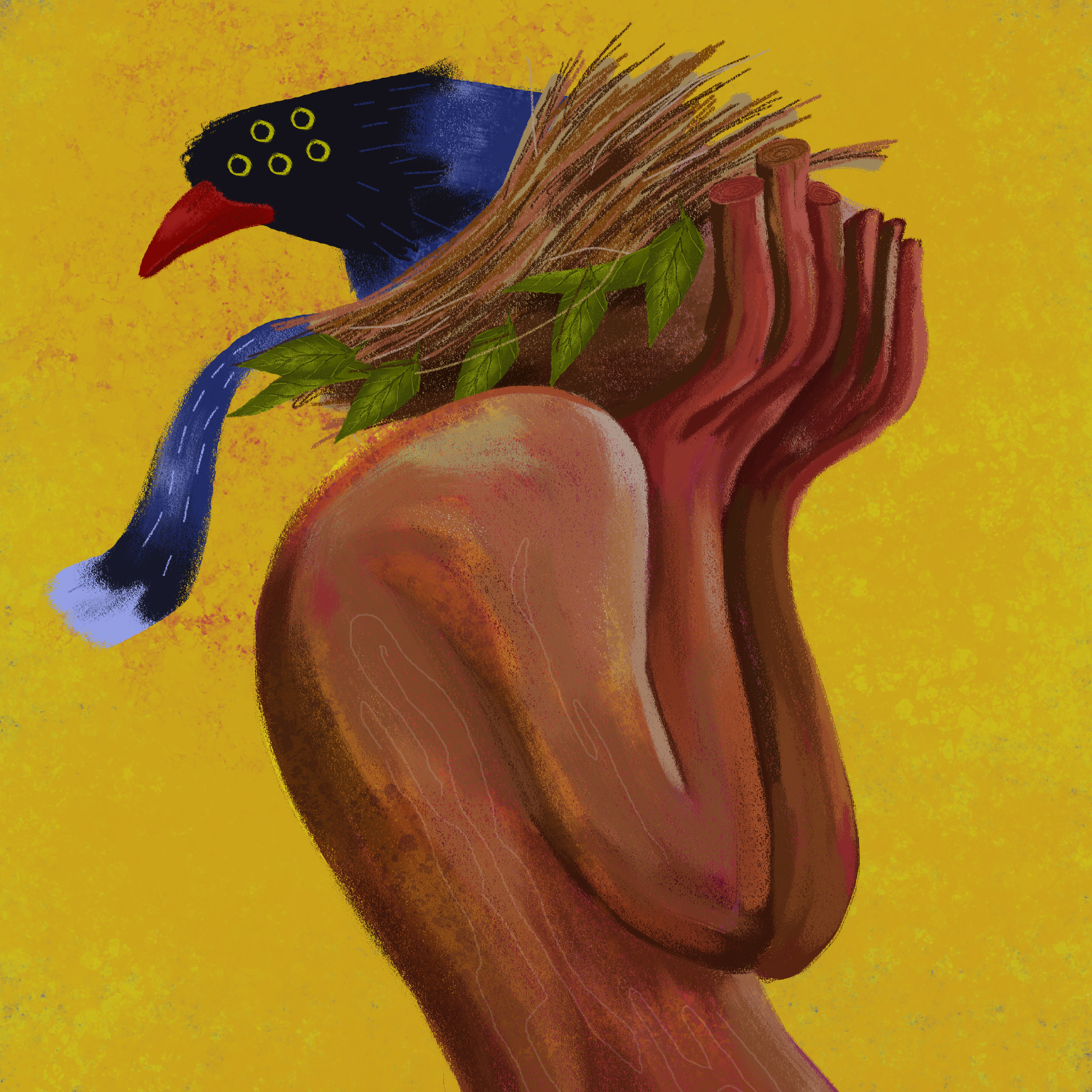 nudey 016