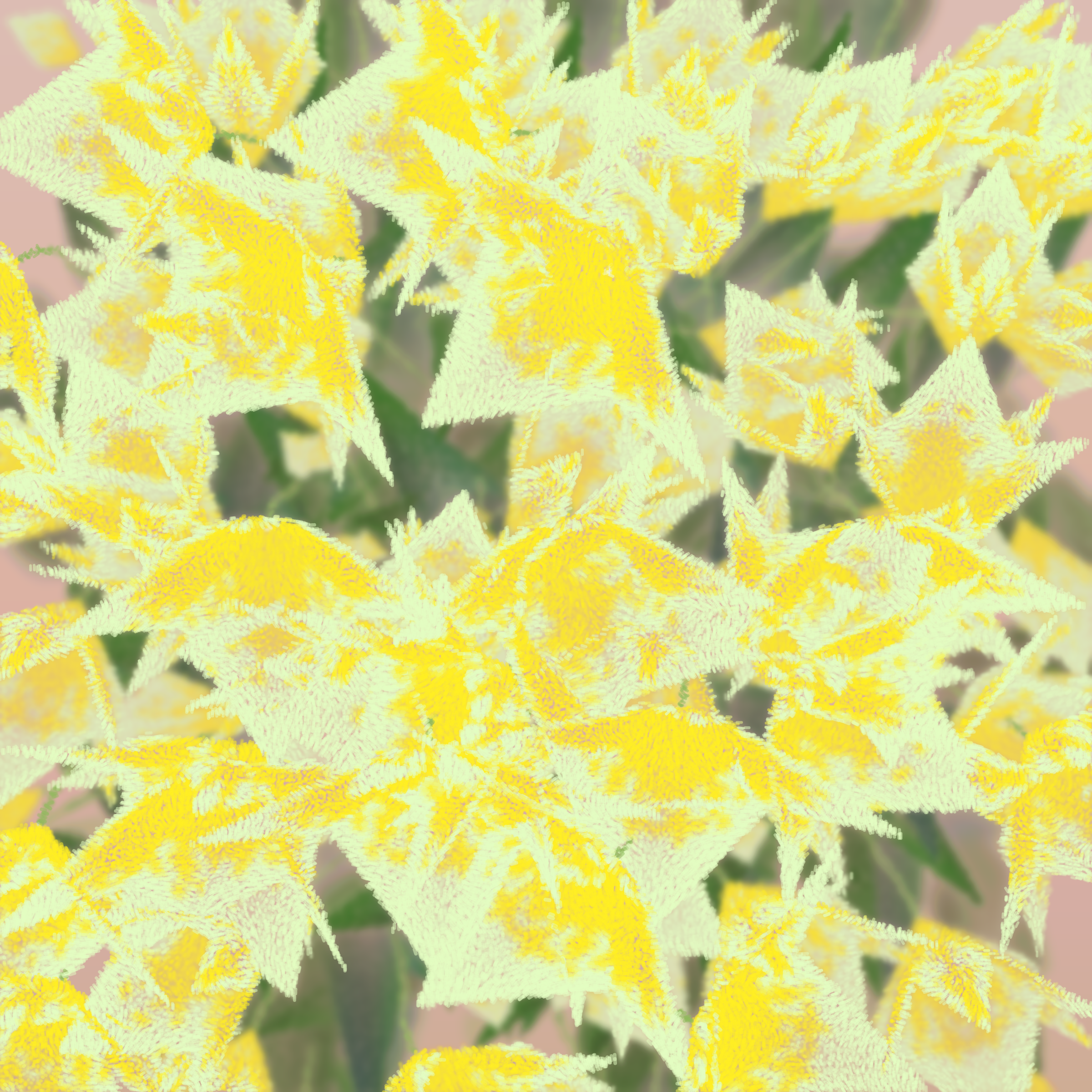 Cattleya #284