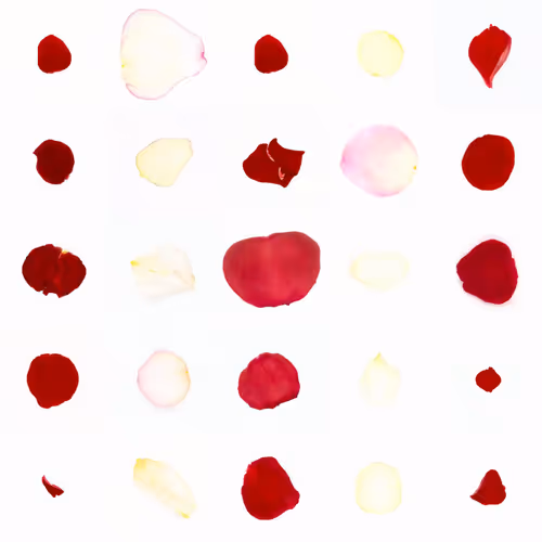 Infinite Petals 5x5#1398