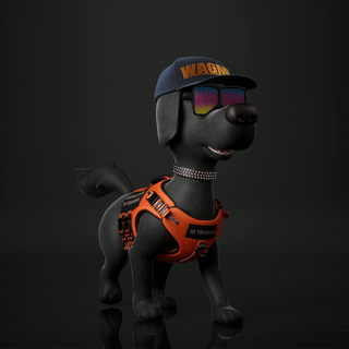 WoofPack #3578