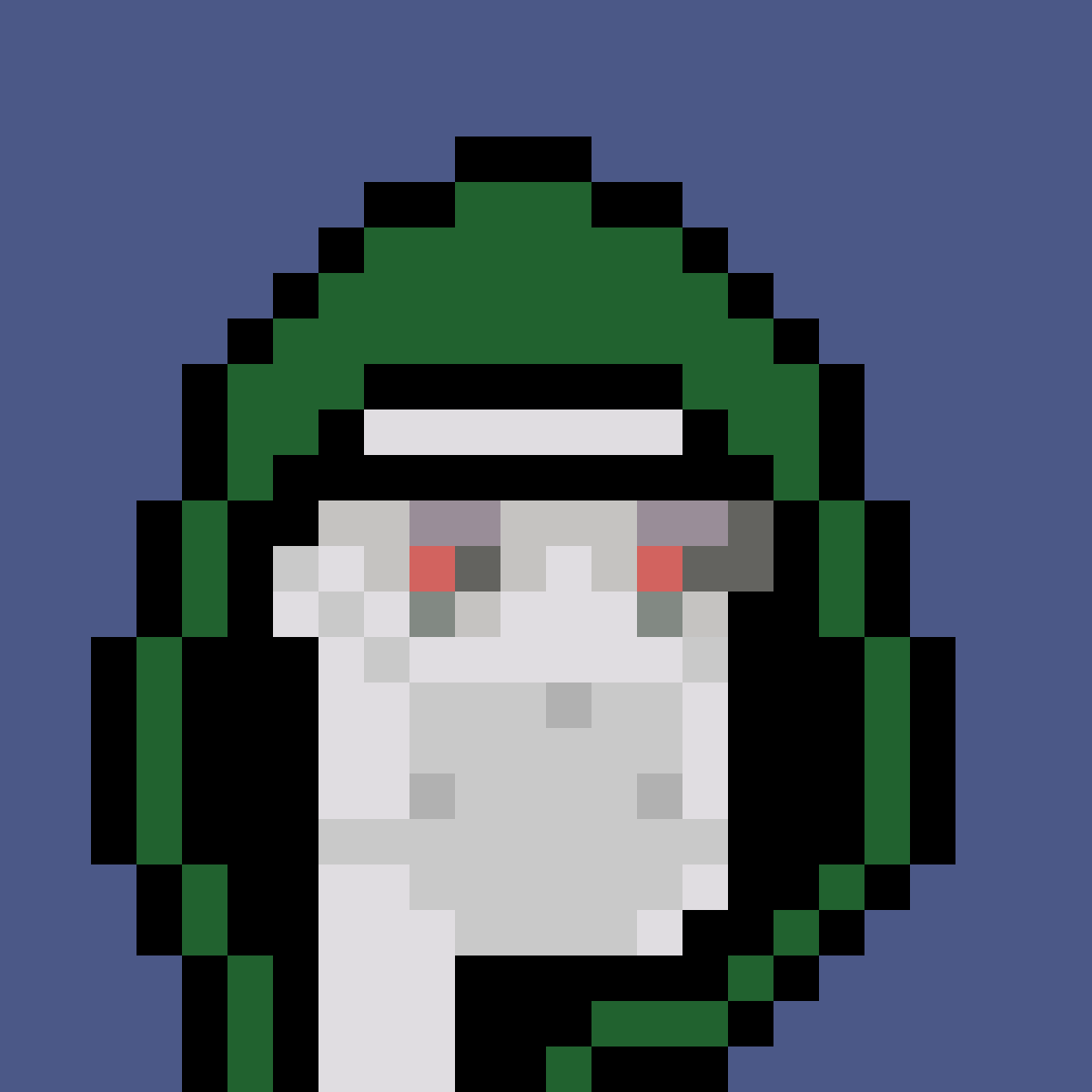 0xPunk #2072