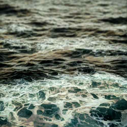 Ocean One