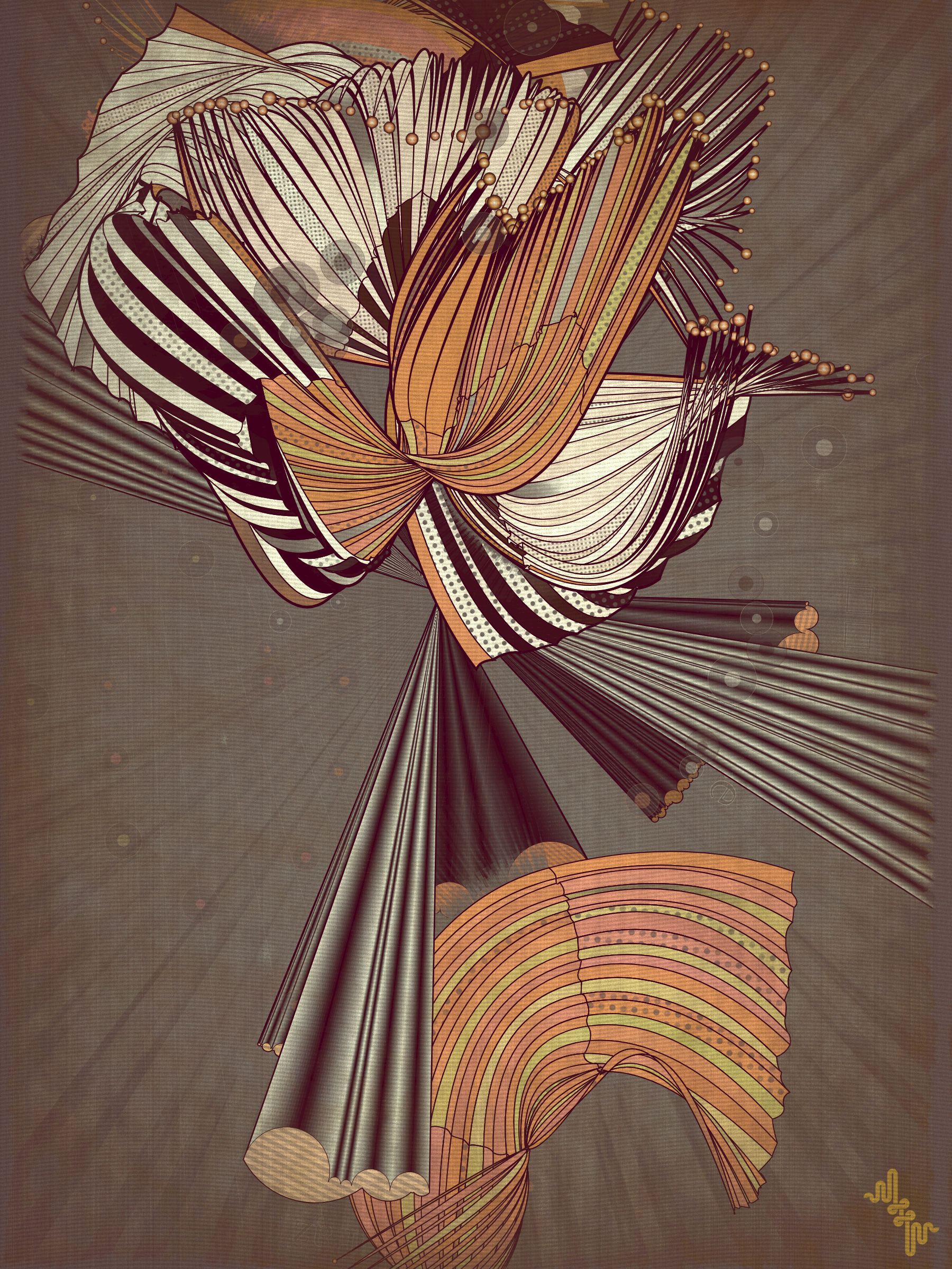 Velum #15