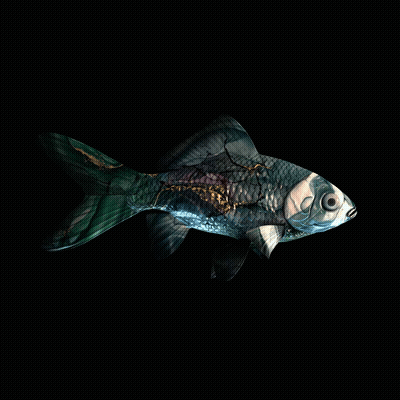 CryptoFish #2160