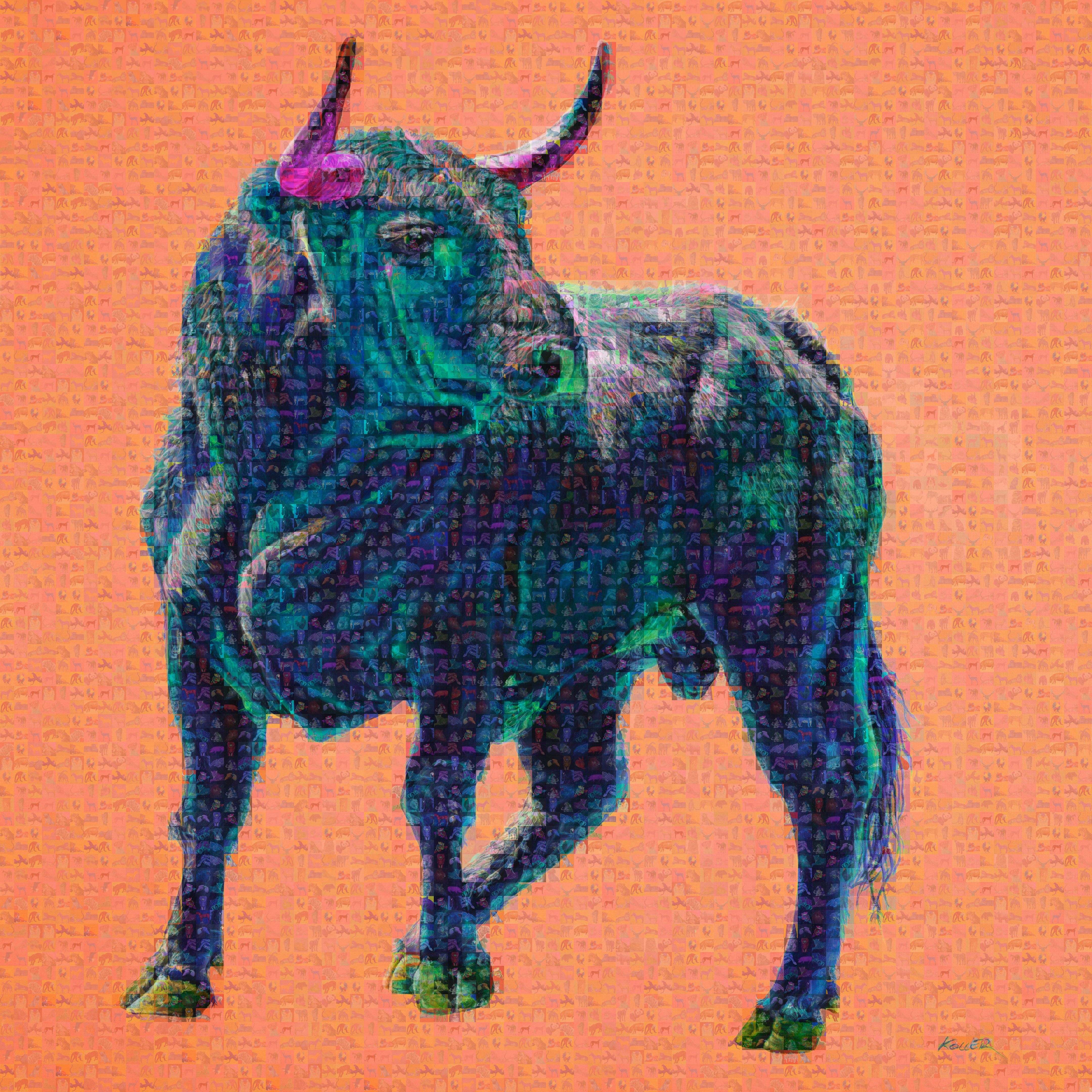 BULL ON ORANGE
