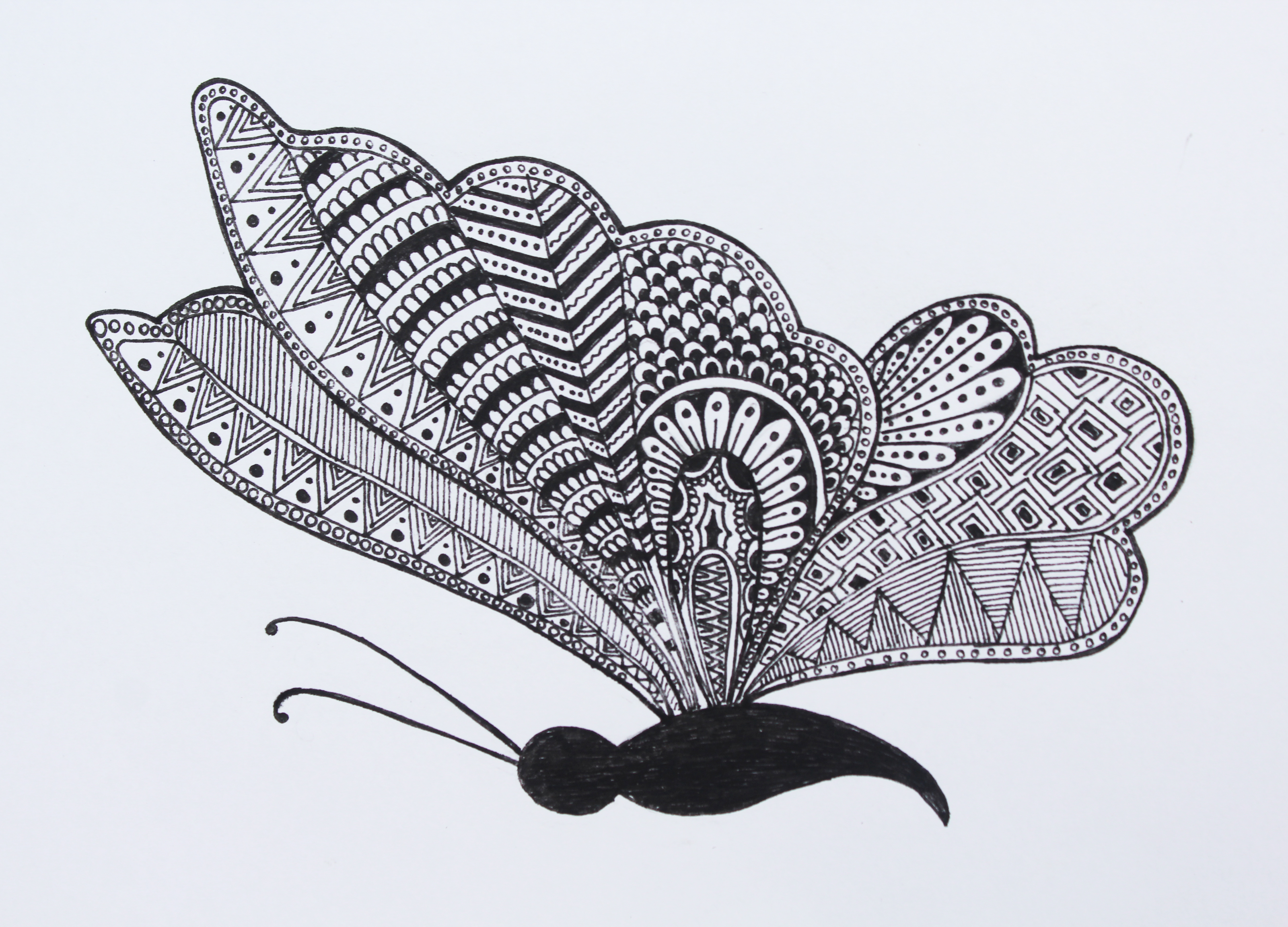 Butterfly Effect